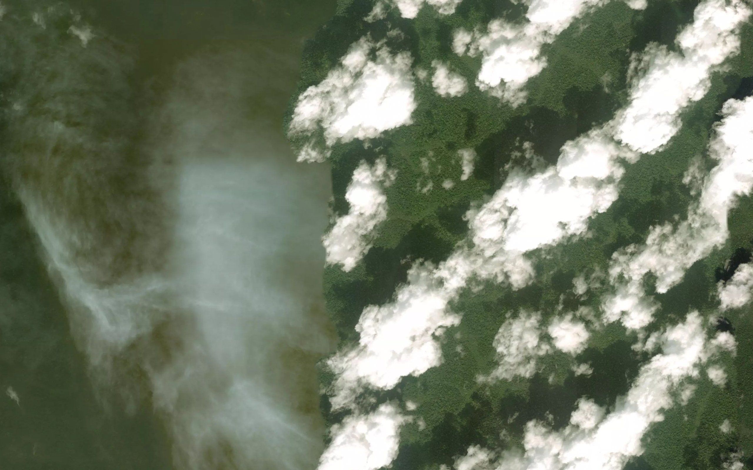Mfoum