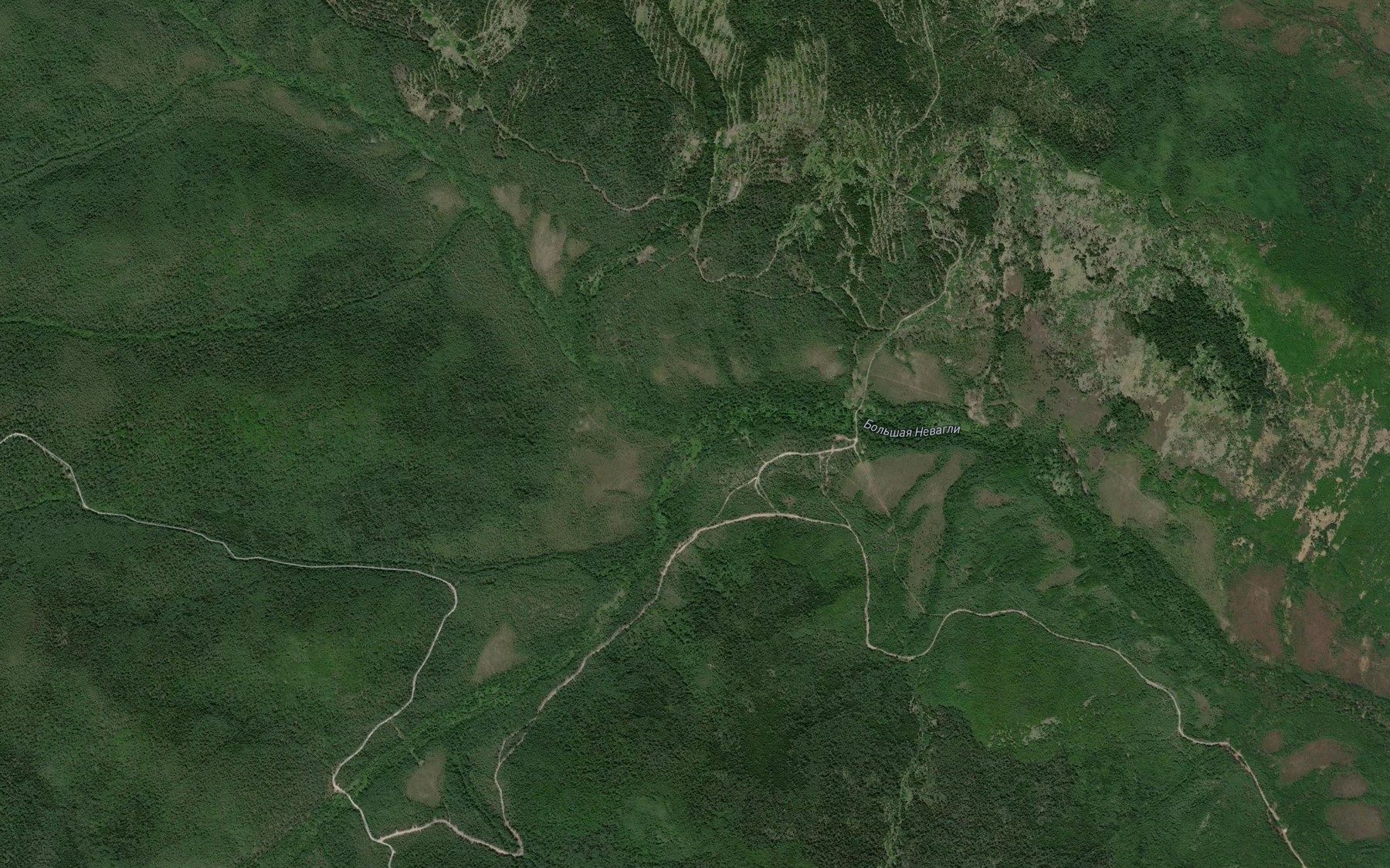Satellite map of the Levaya Bol'shaya Nevagli