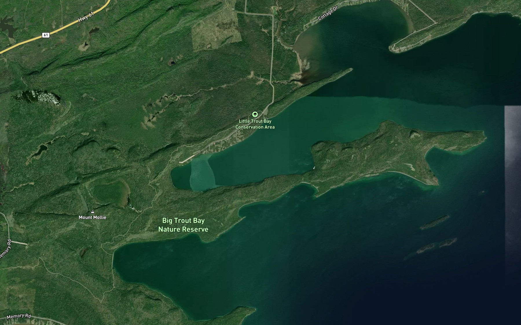 Satellite map of the Little Trout Bay