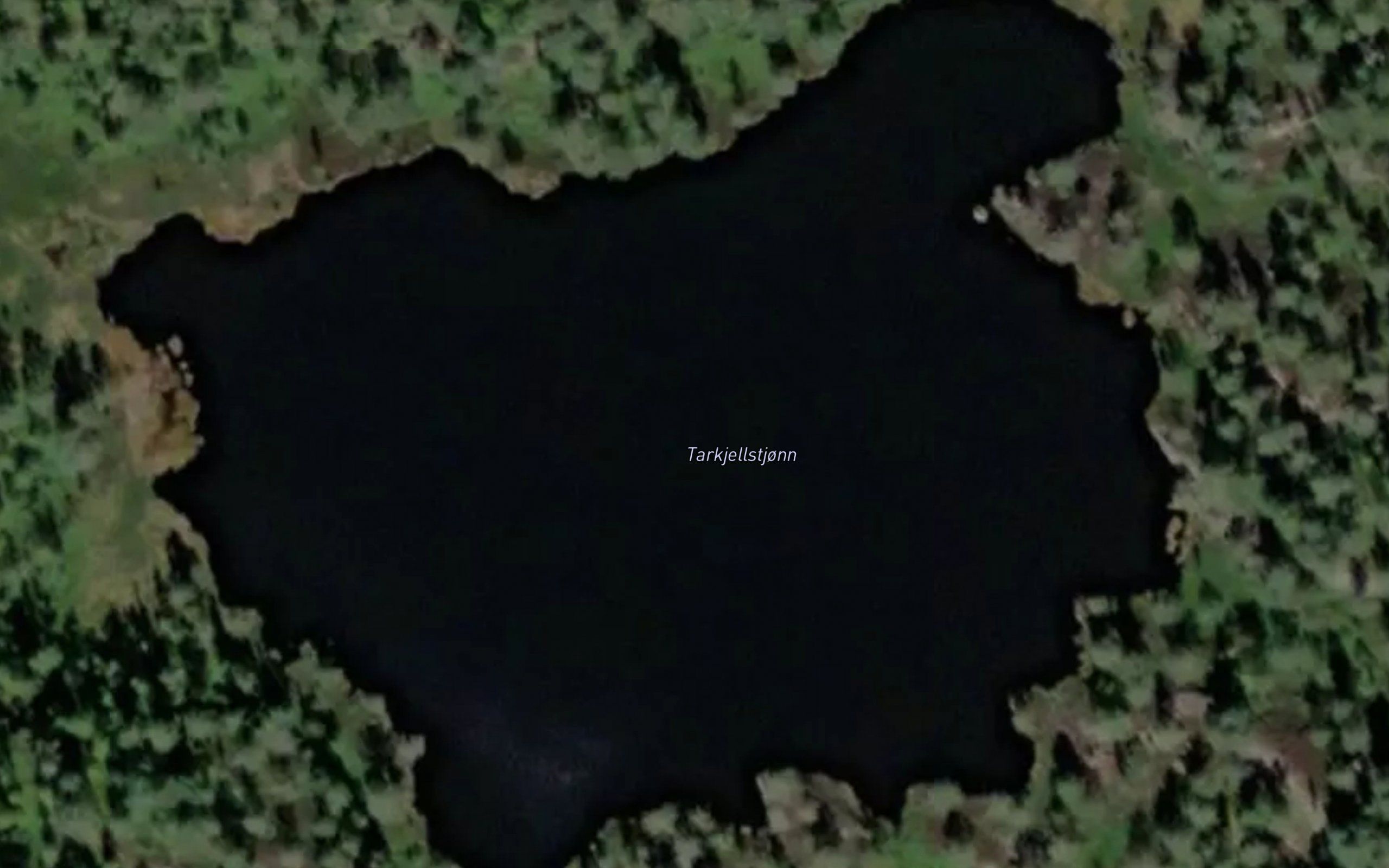 Tarkjellstjorn