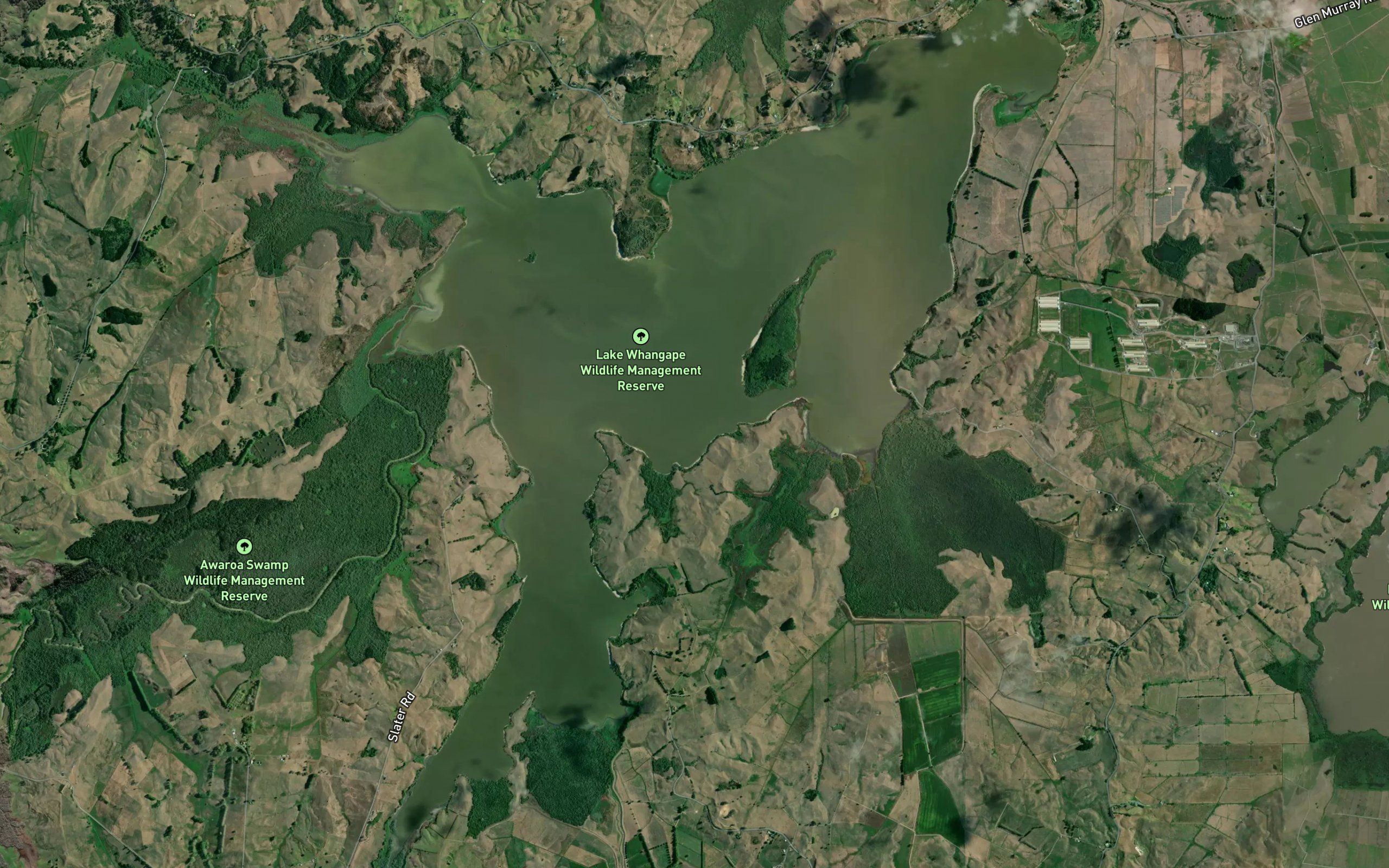 Whangape Lake