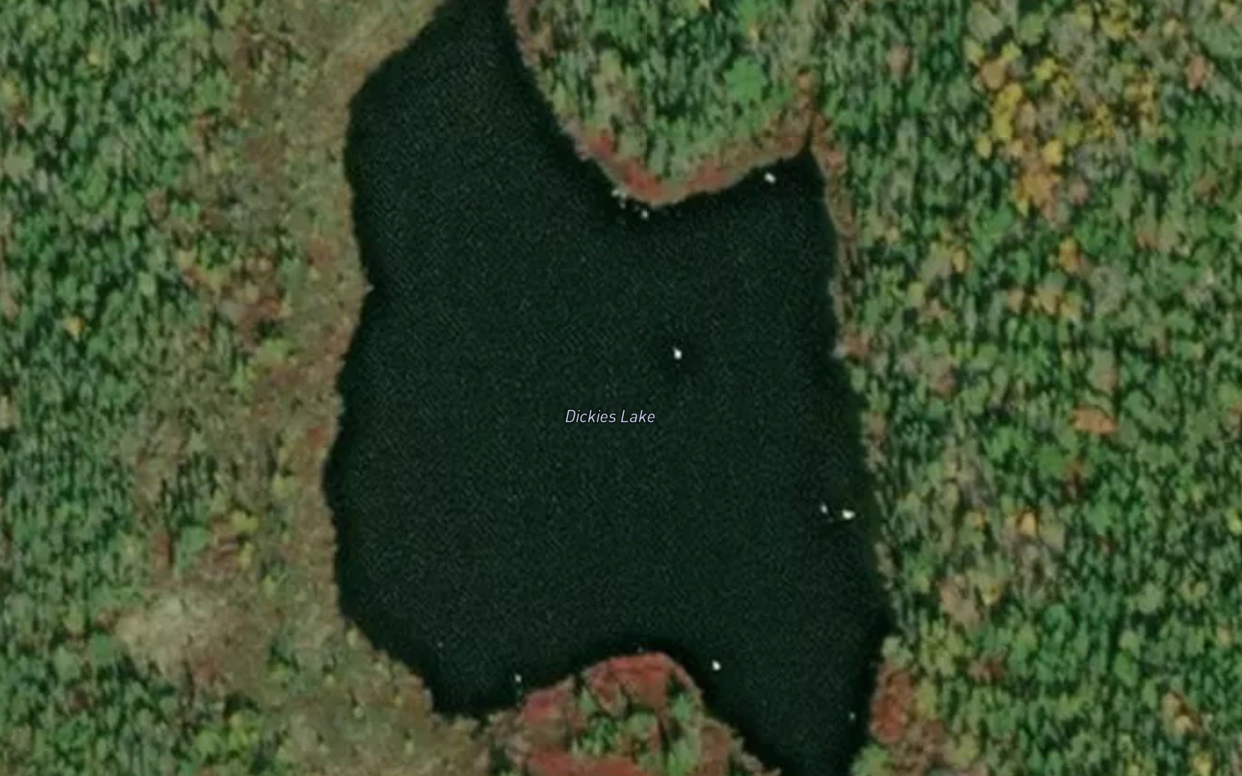 Dickies Lake