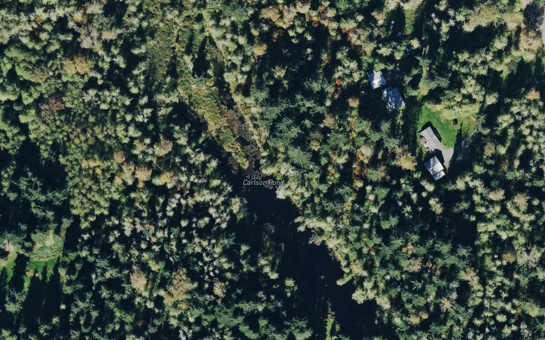 Satellite map of the Carlson Pond
