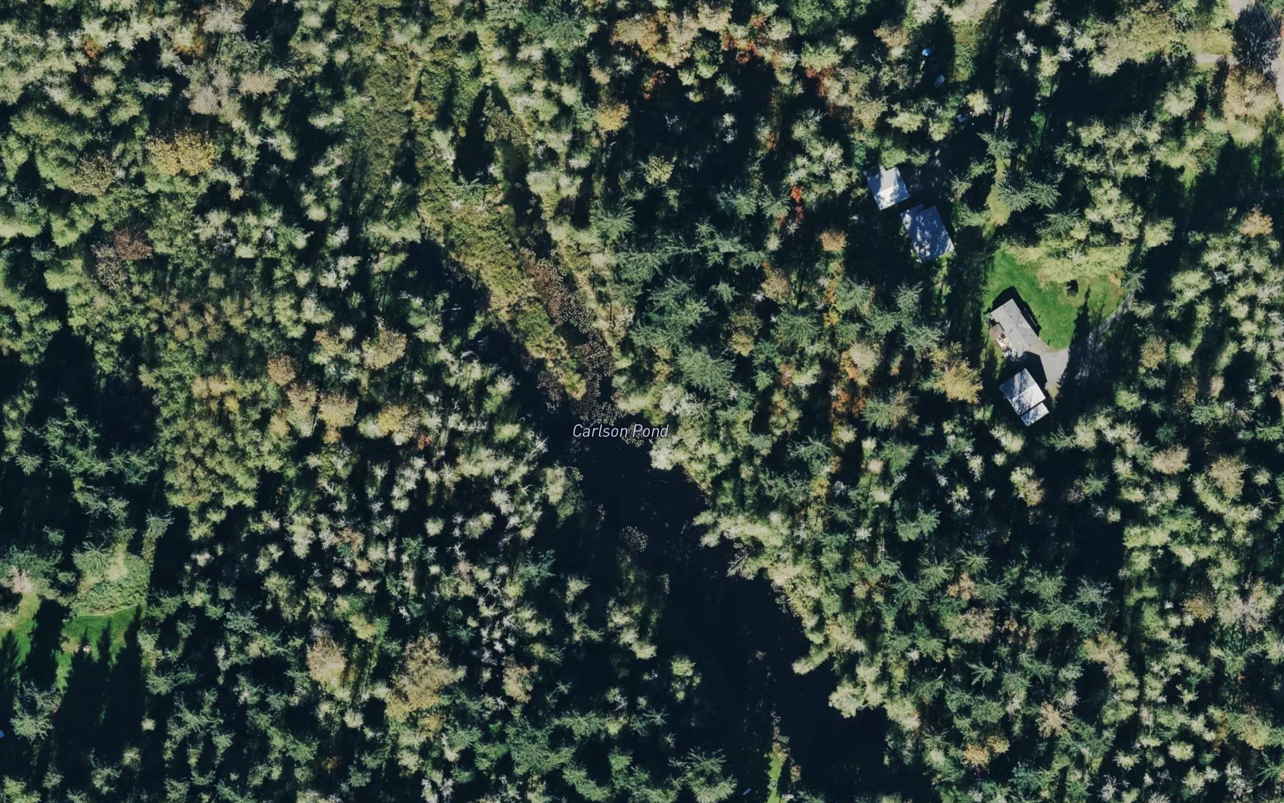 Carlson Pond