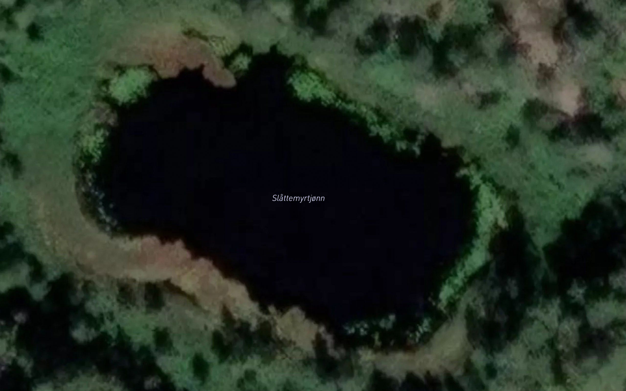 Slattemyrtjonn
