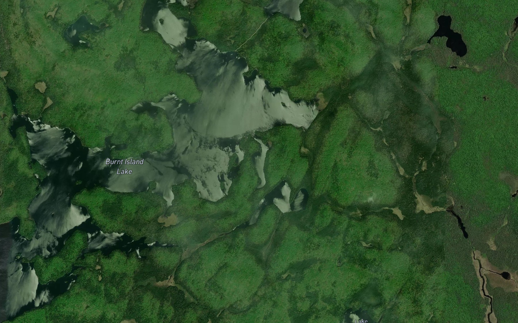 Satellite map of the Birdie Lake