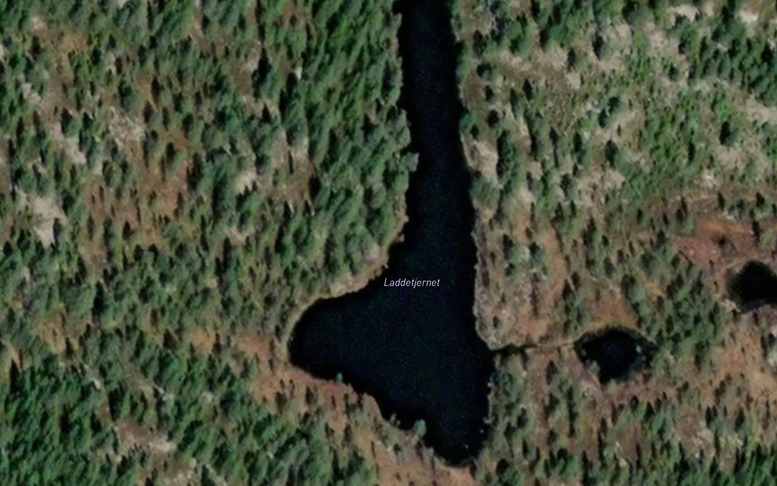 Laddetjednet