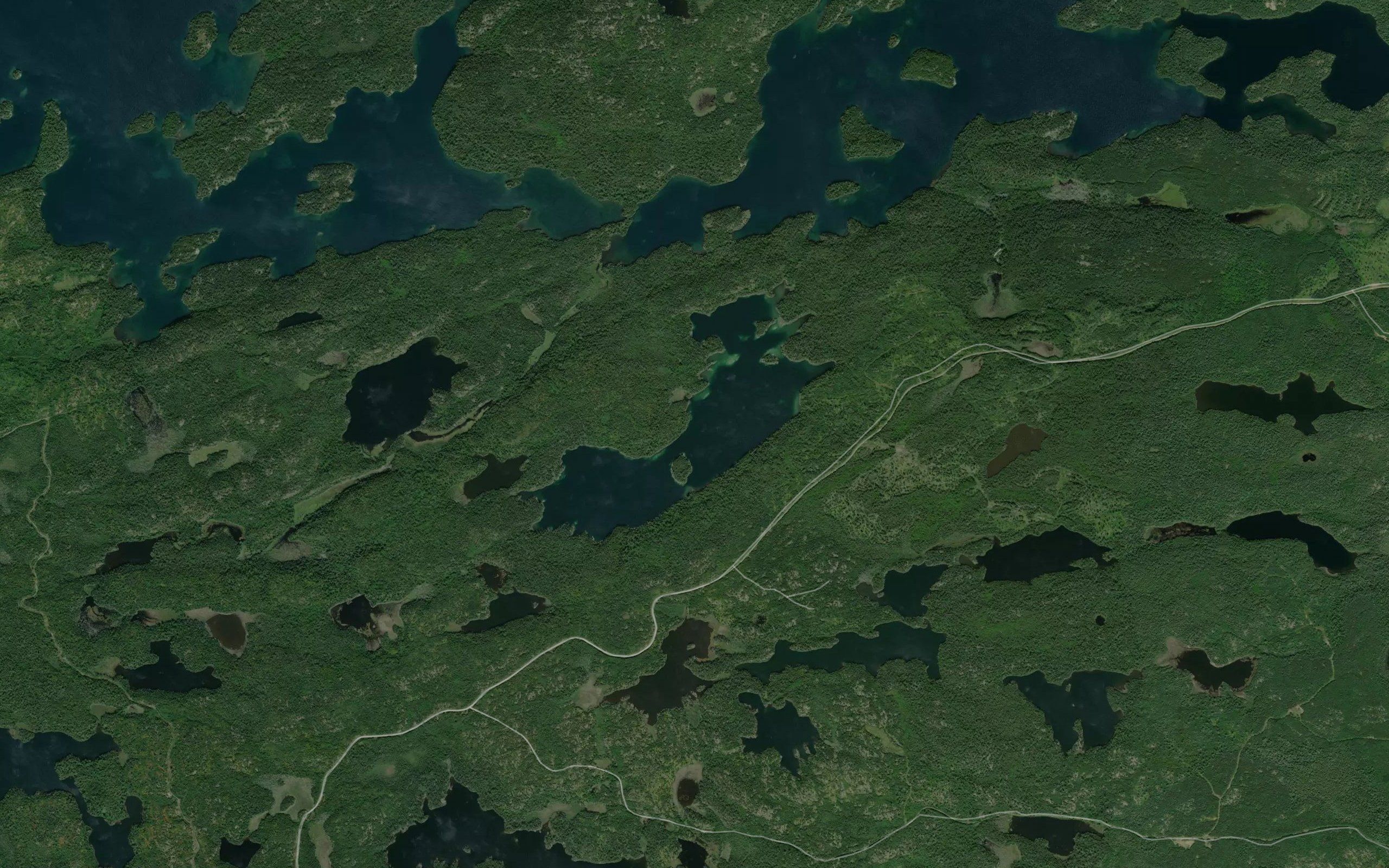 Brown Trout Lake