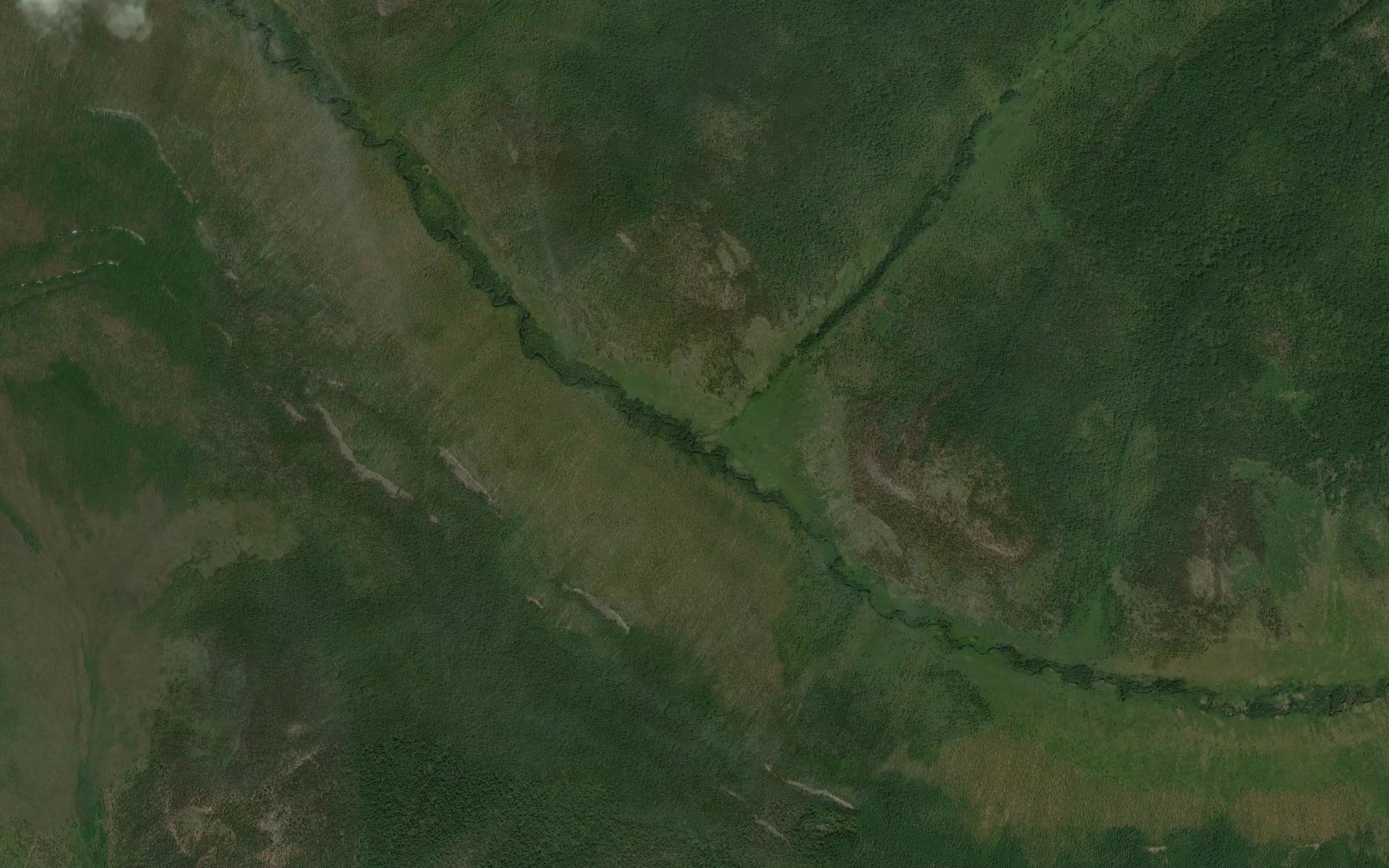 Tikhiy