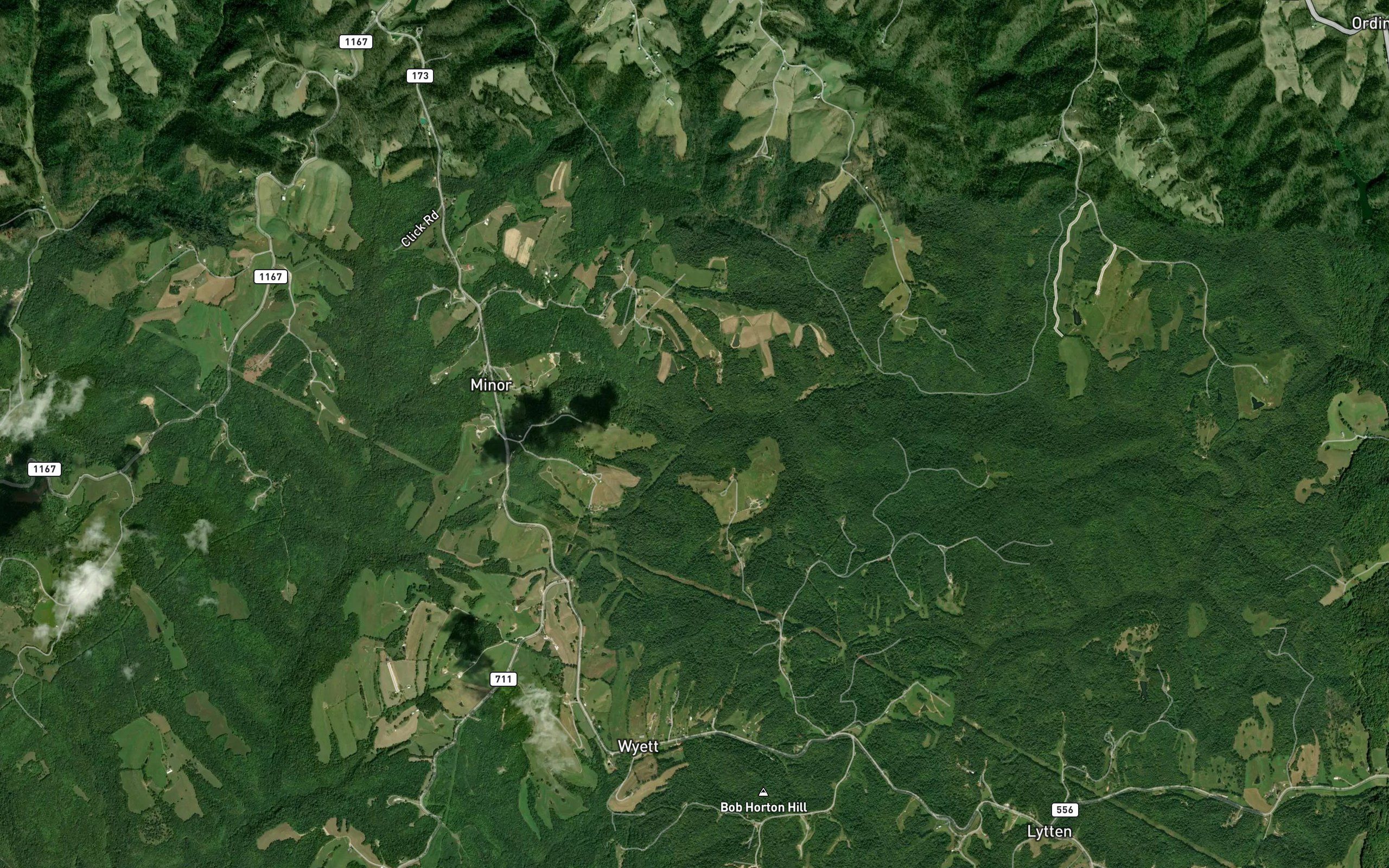 Brown Fork
