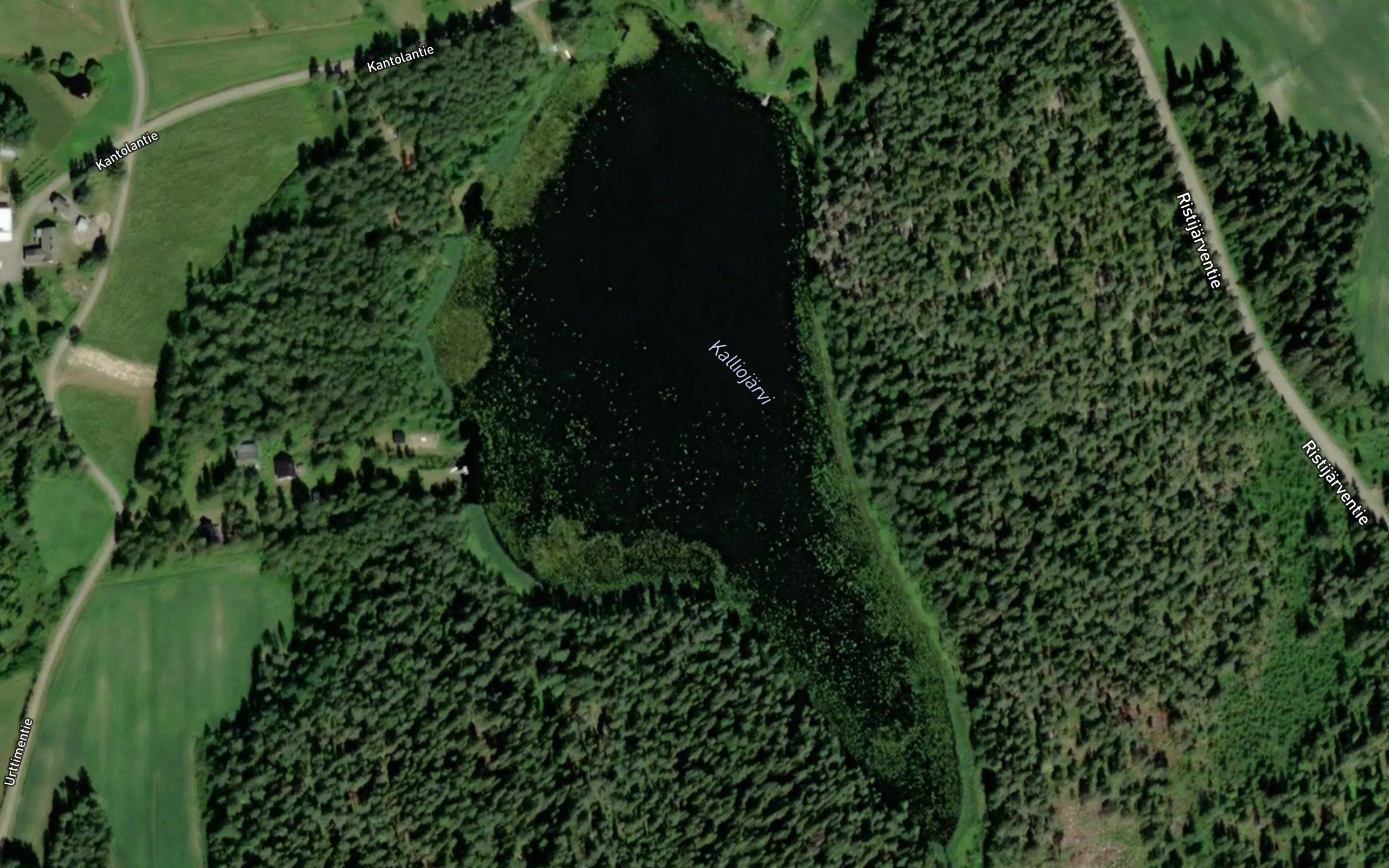 Kalliojarvi