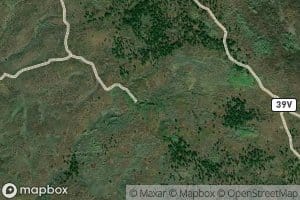 Bramier Spring