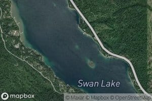 Swan Lake