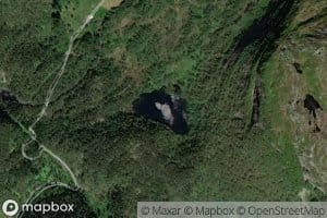 Fjelletjorna