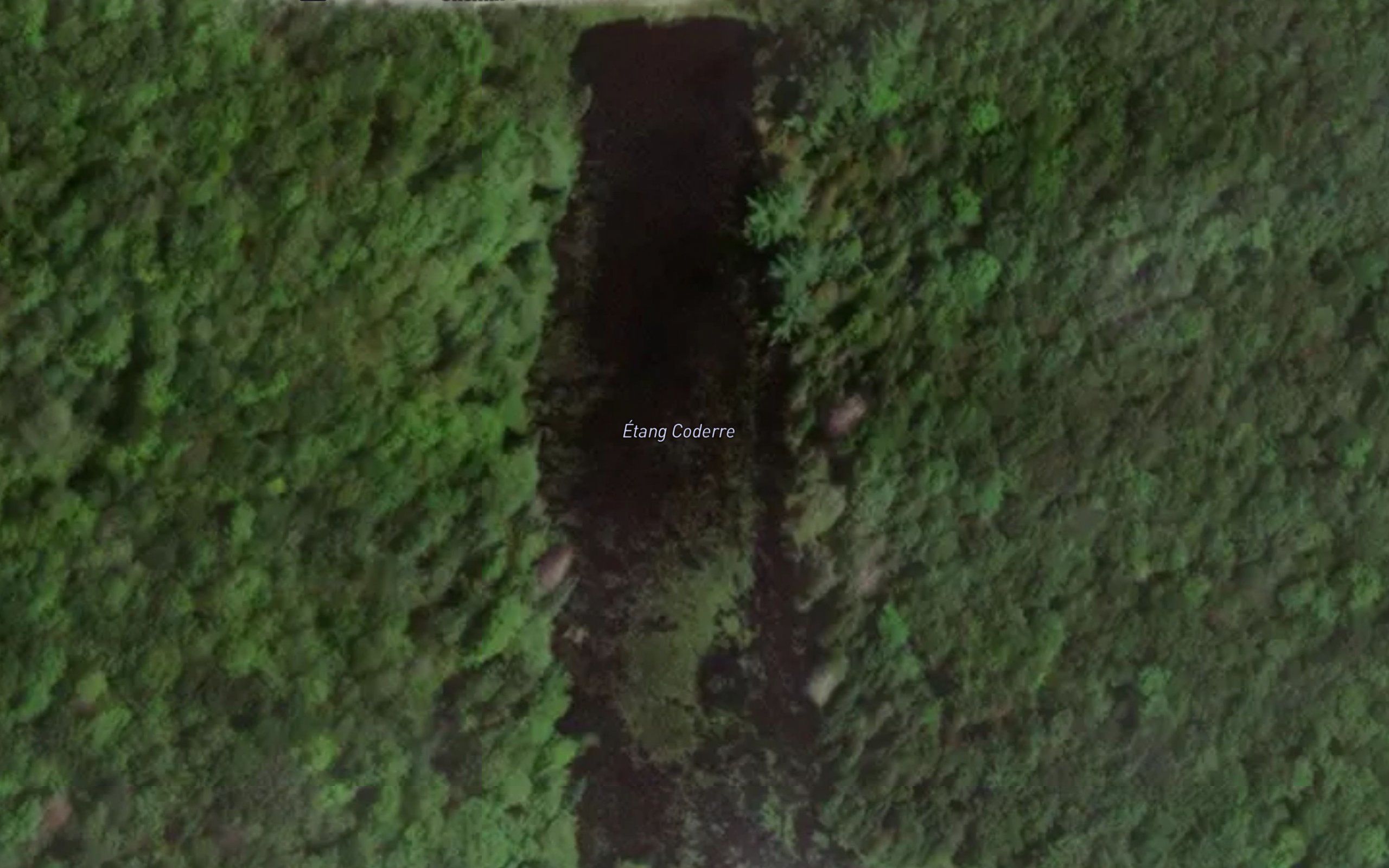 Etang Coderre