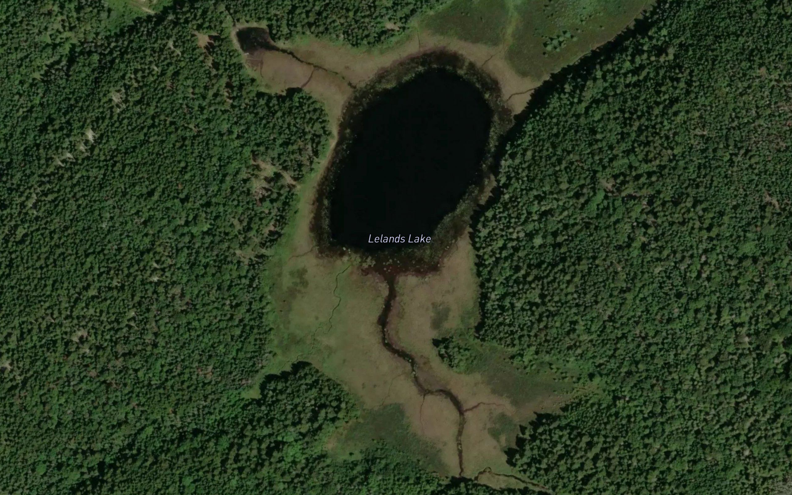 Lelands Lake