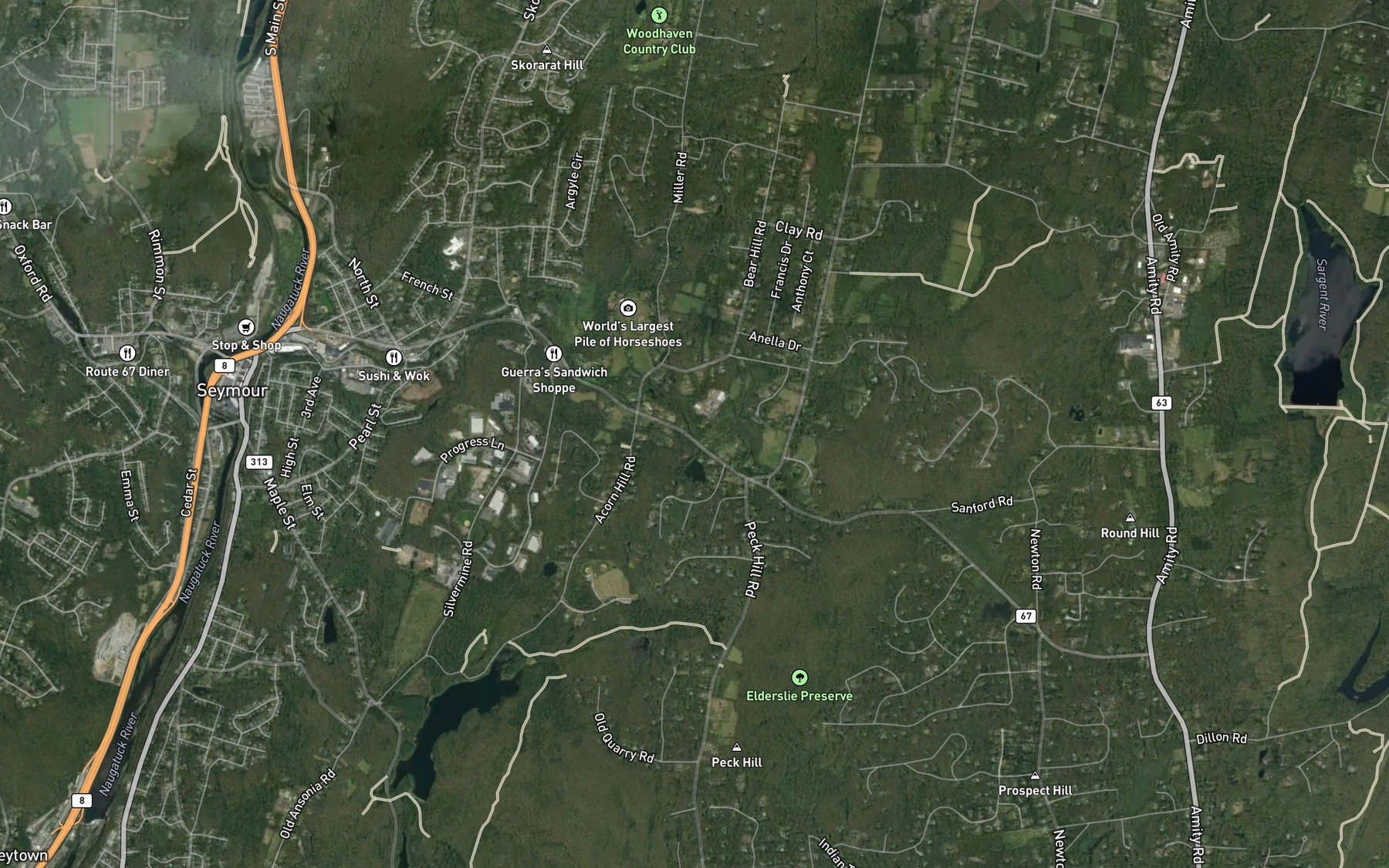 Satellite map of the Black Brook
