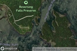 Cobscook Falls