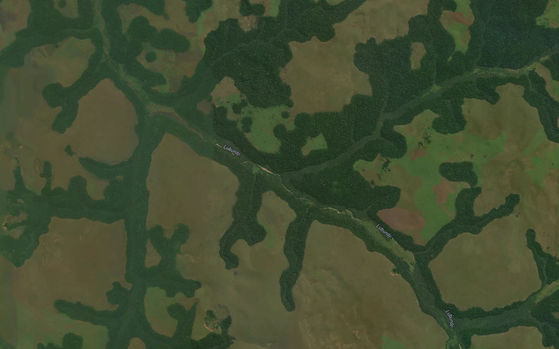 Satellite map of the Luendji