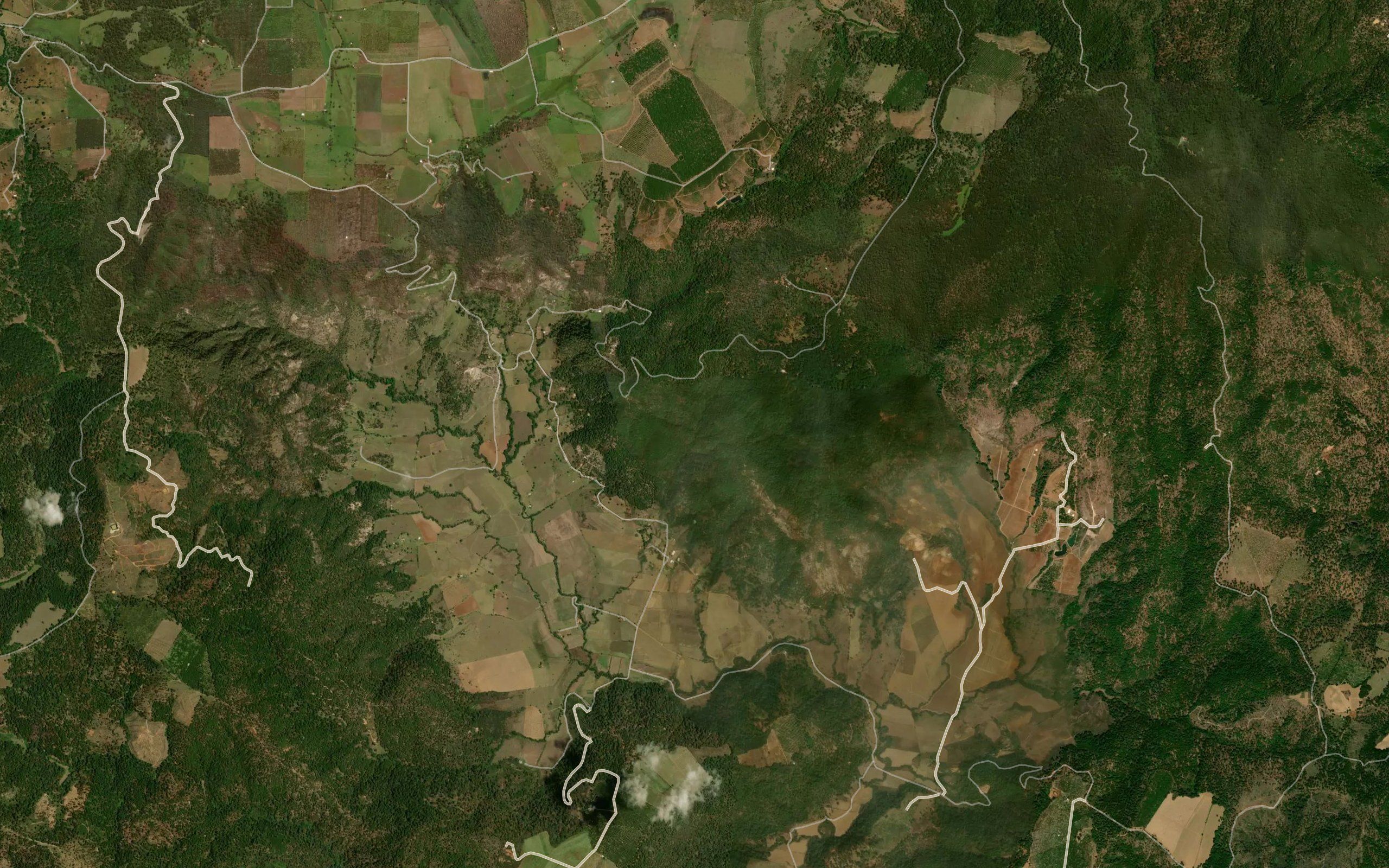 Barranca Borrada