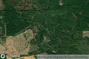 Coon Creek