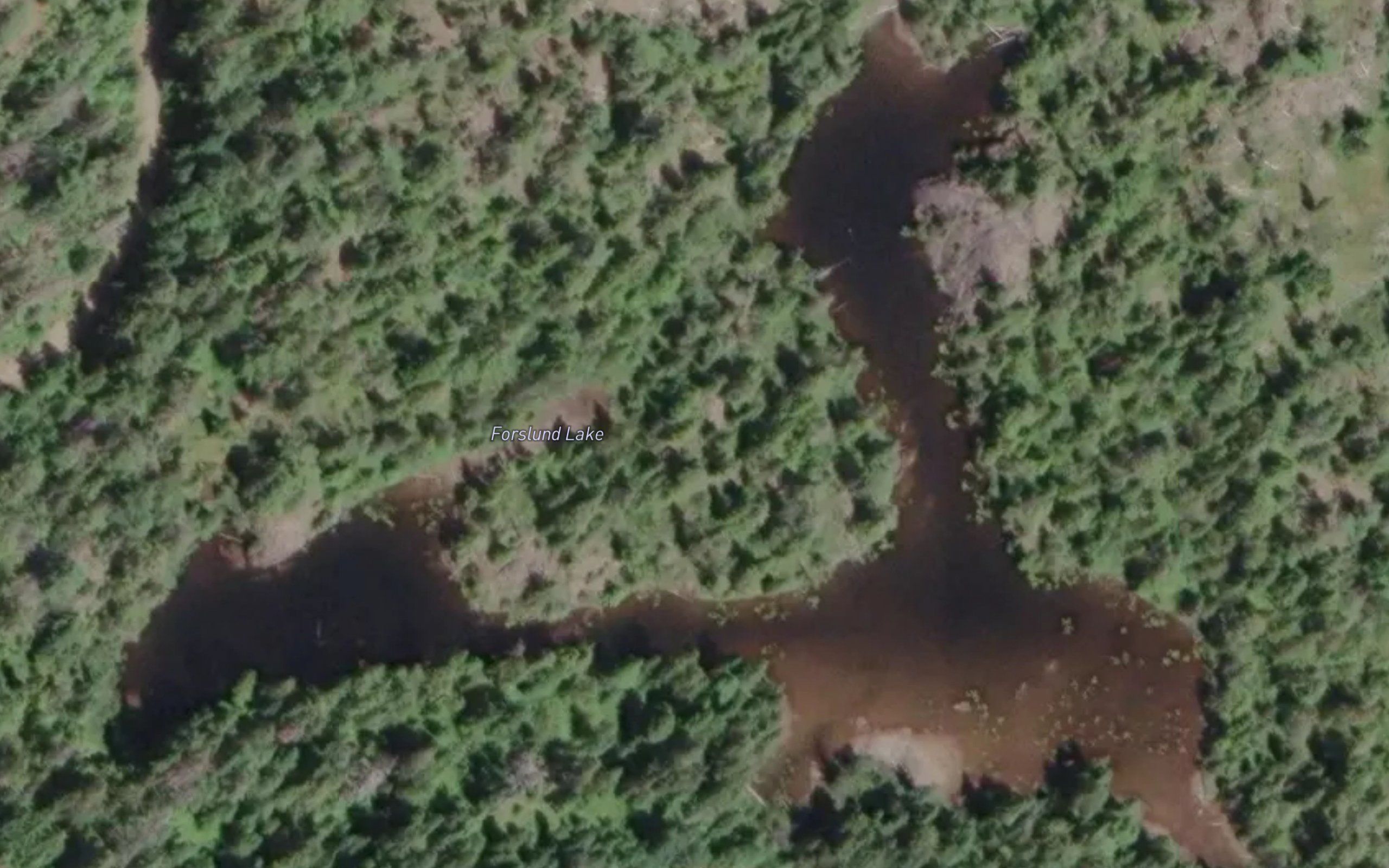 Forslund Lake