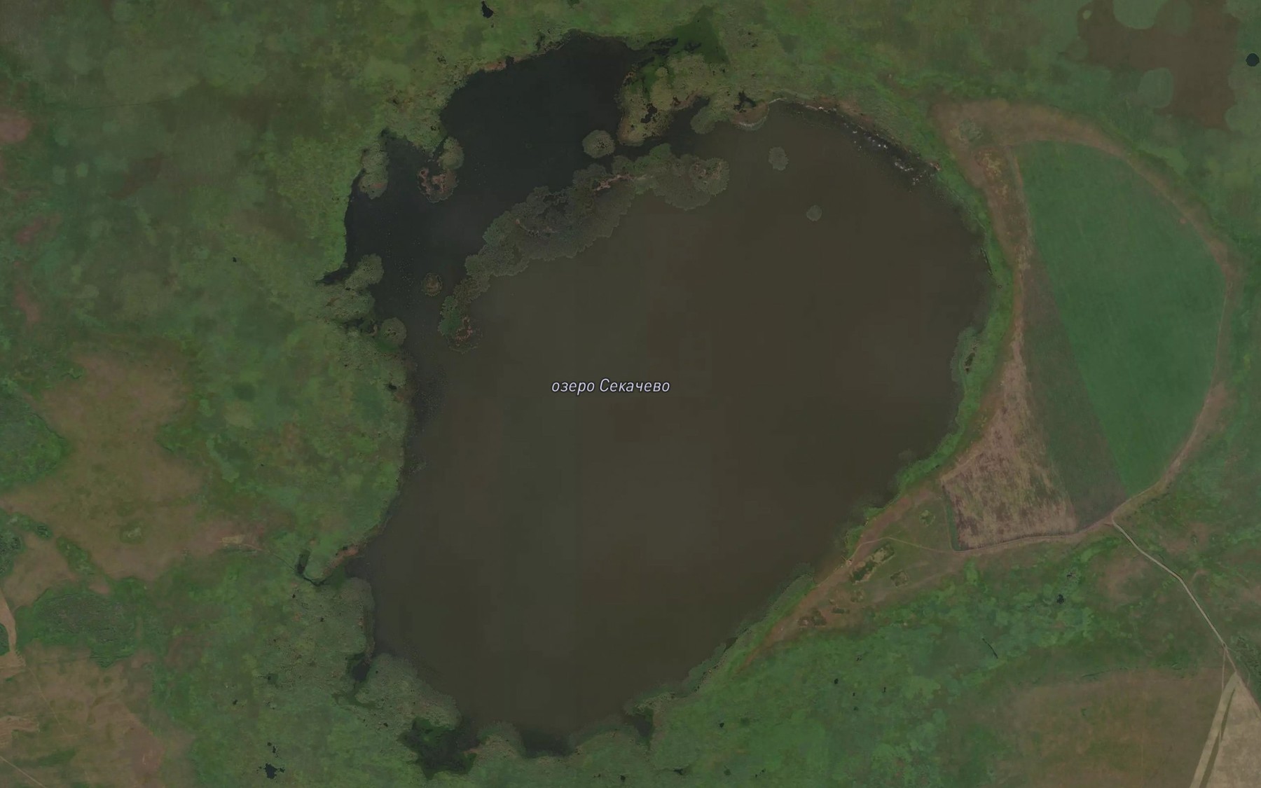 Satellite map of the Ozero Sekhachevo