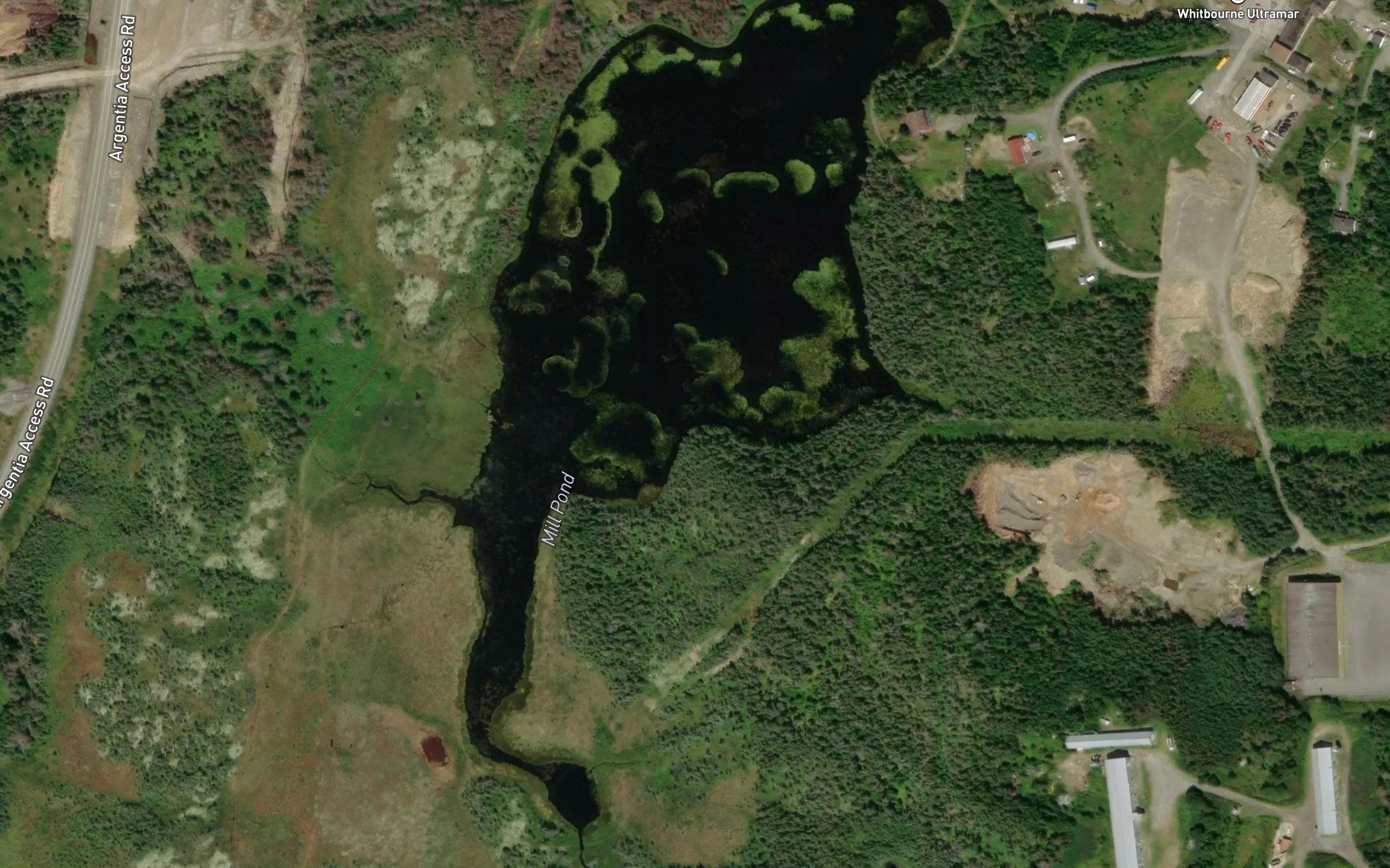 Mill Pond