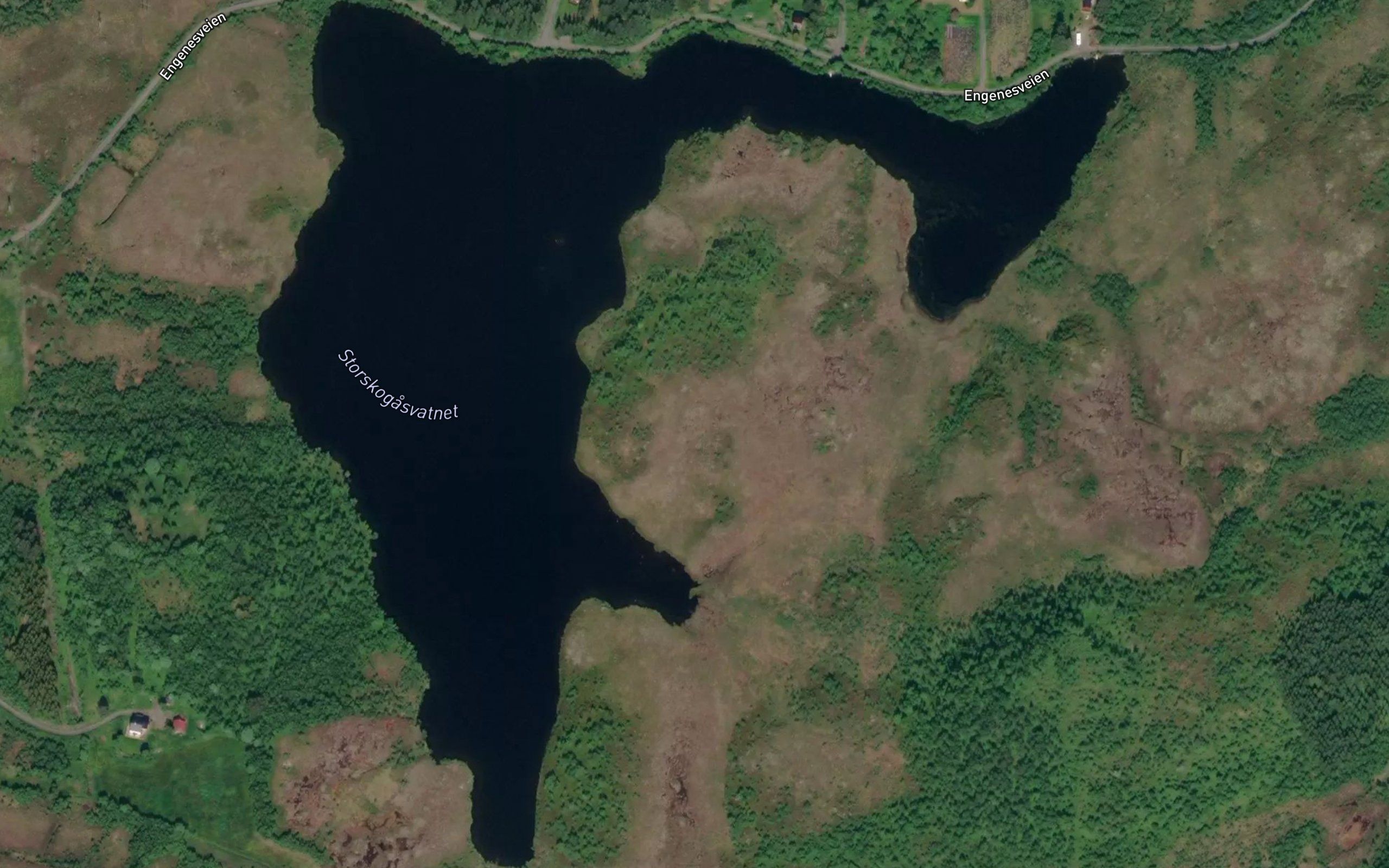 Storskogasvatnet