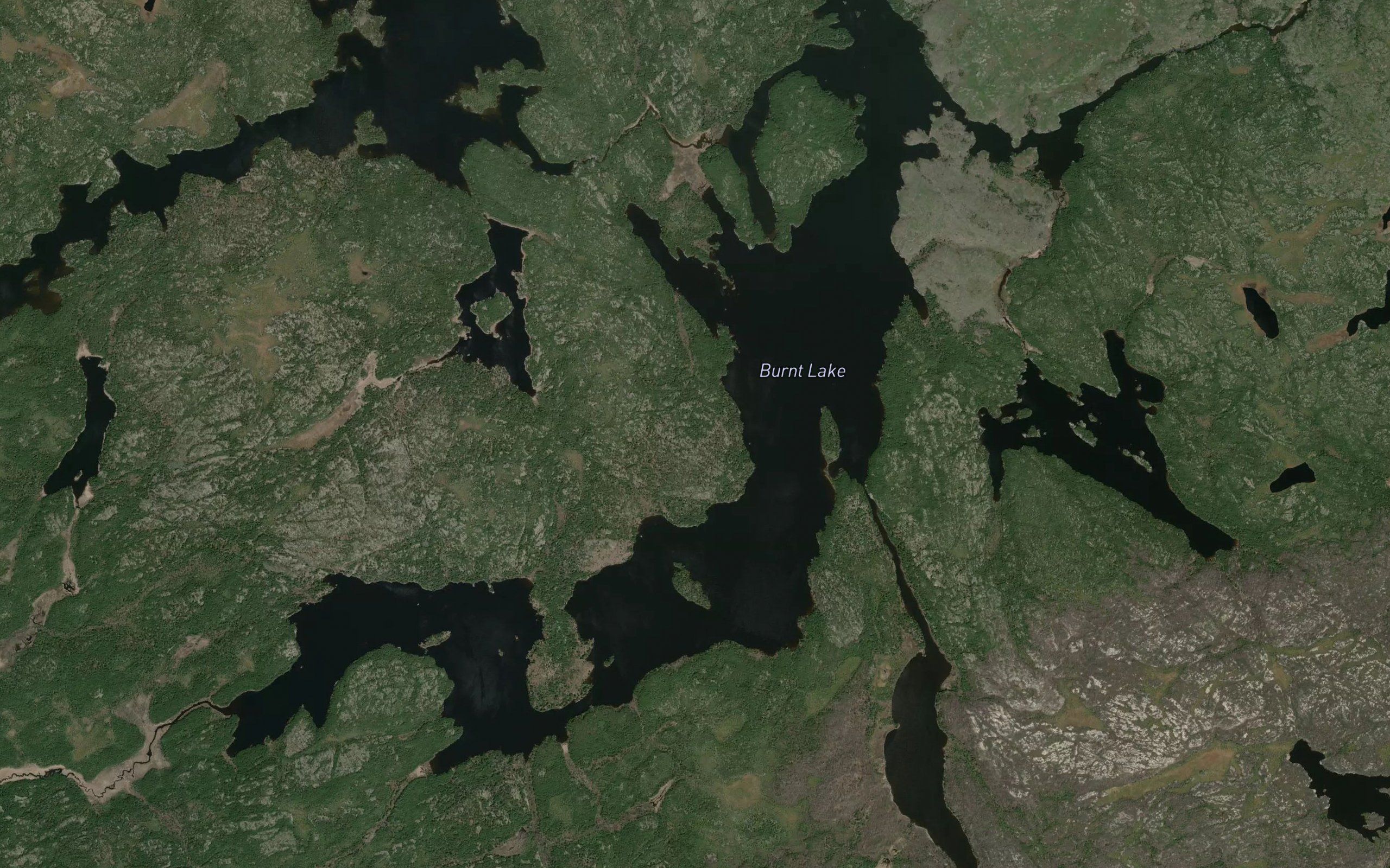 Burnt Lake