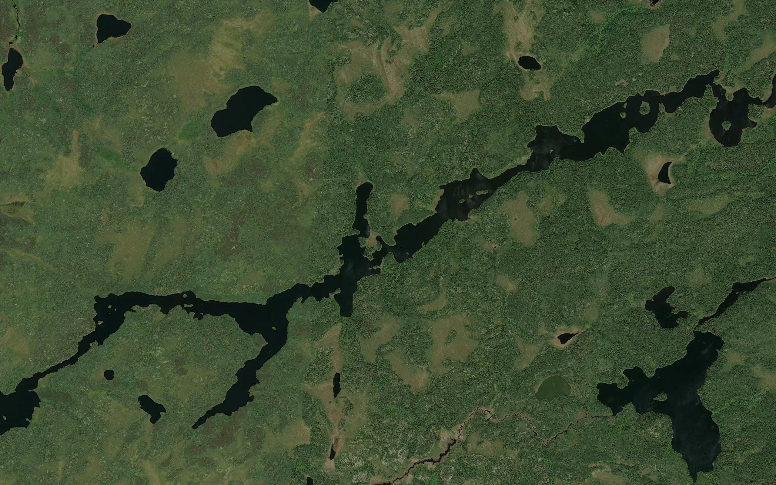 Newlove Lake