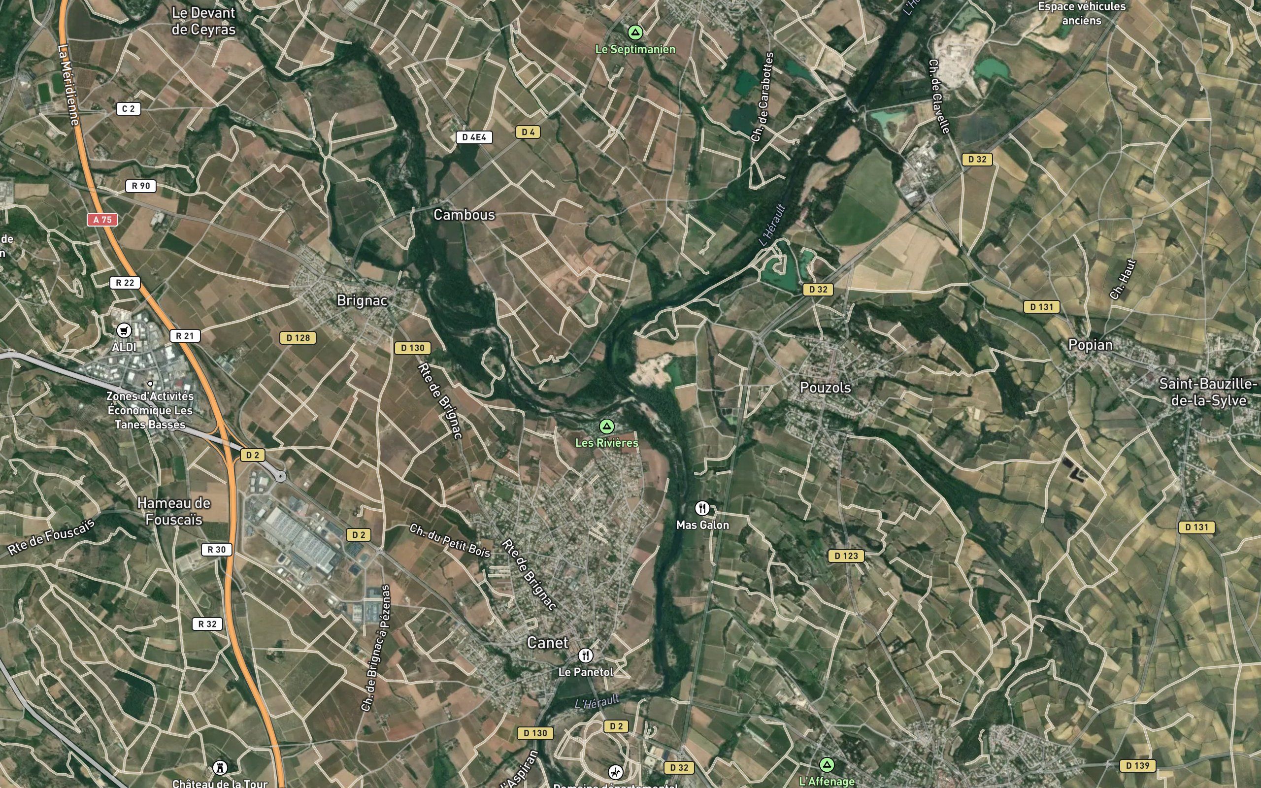 Lergue