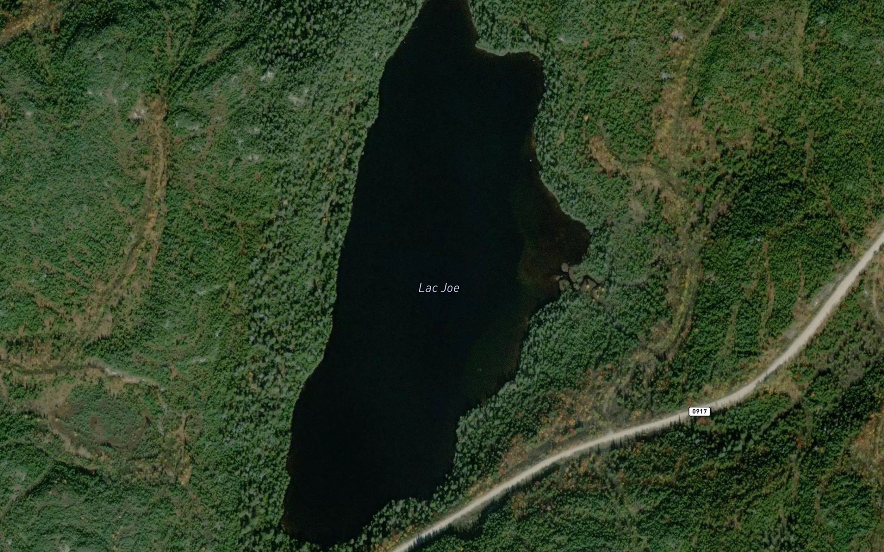 Satellite map of the Lac Joe