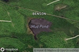 Mud Pond