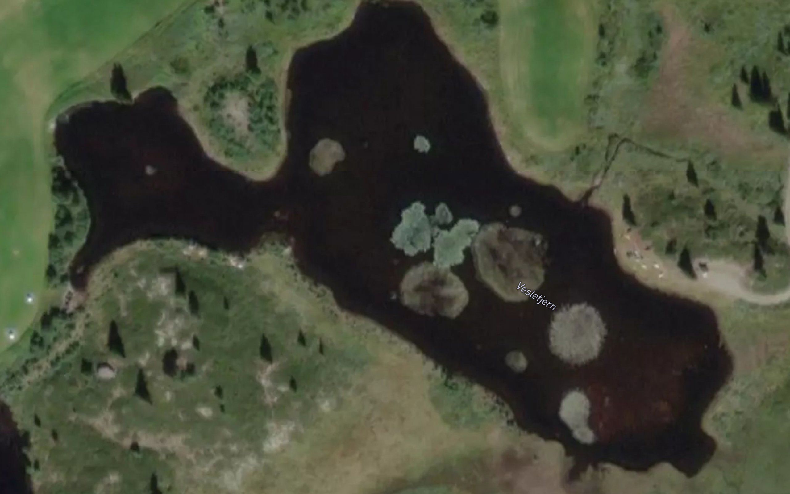 Vesletjernet
