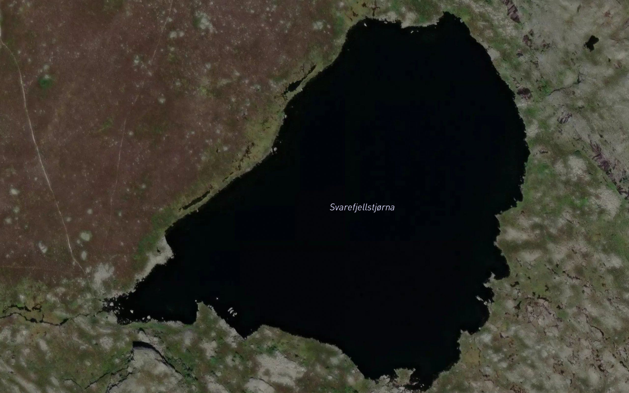 Svarefjellstjorna