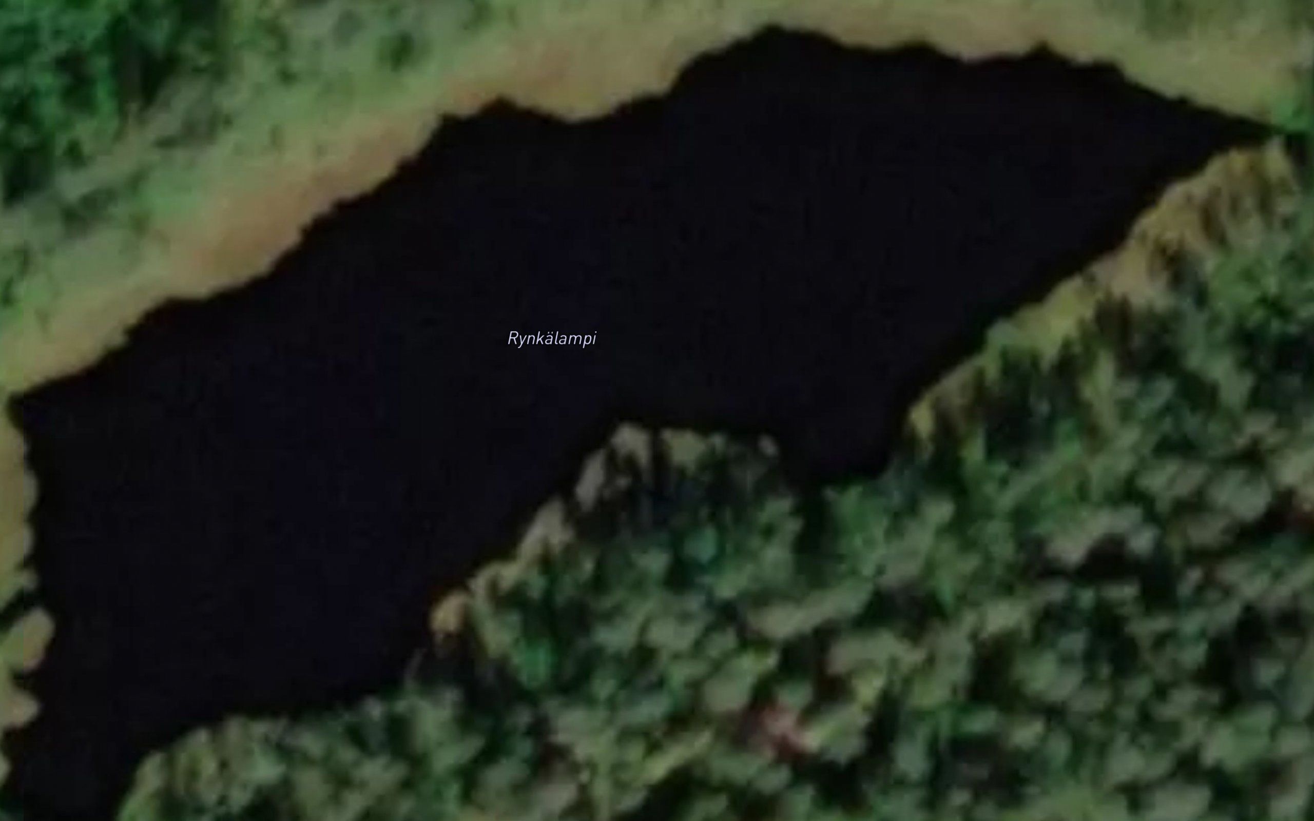 Rynkalampi