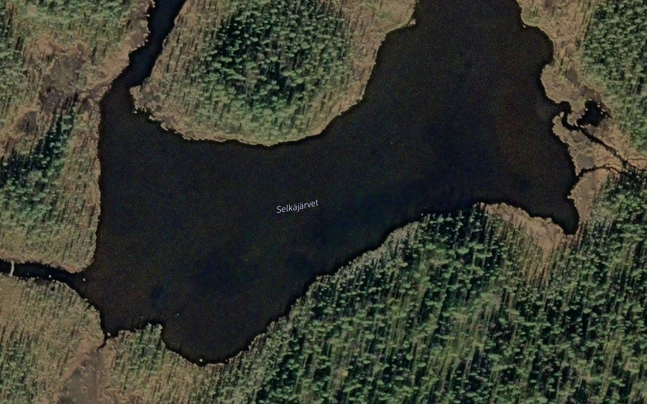 Selkajarvet