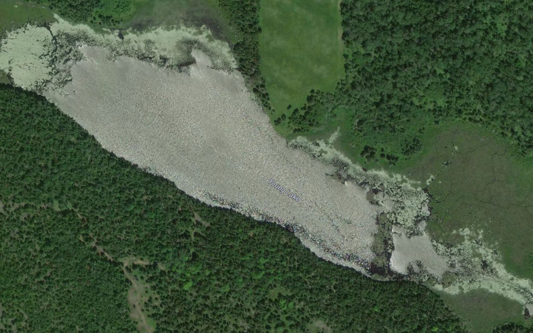 Satellite map of the Young Lake