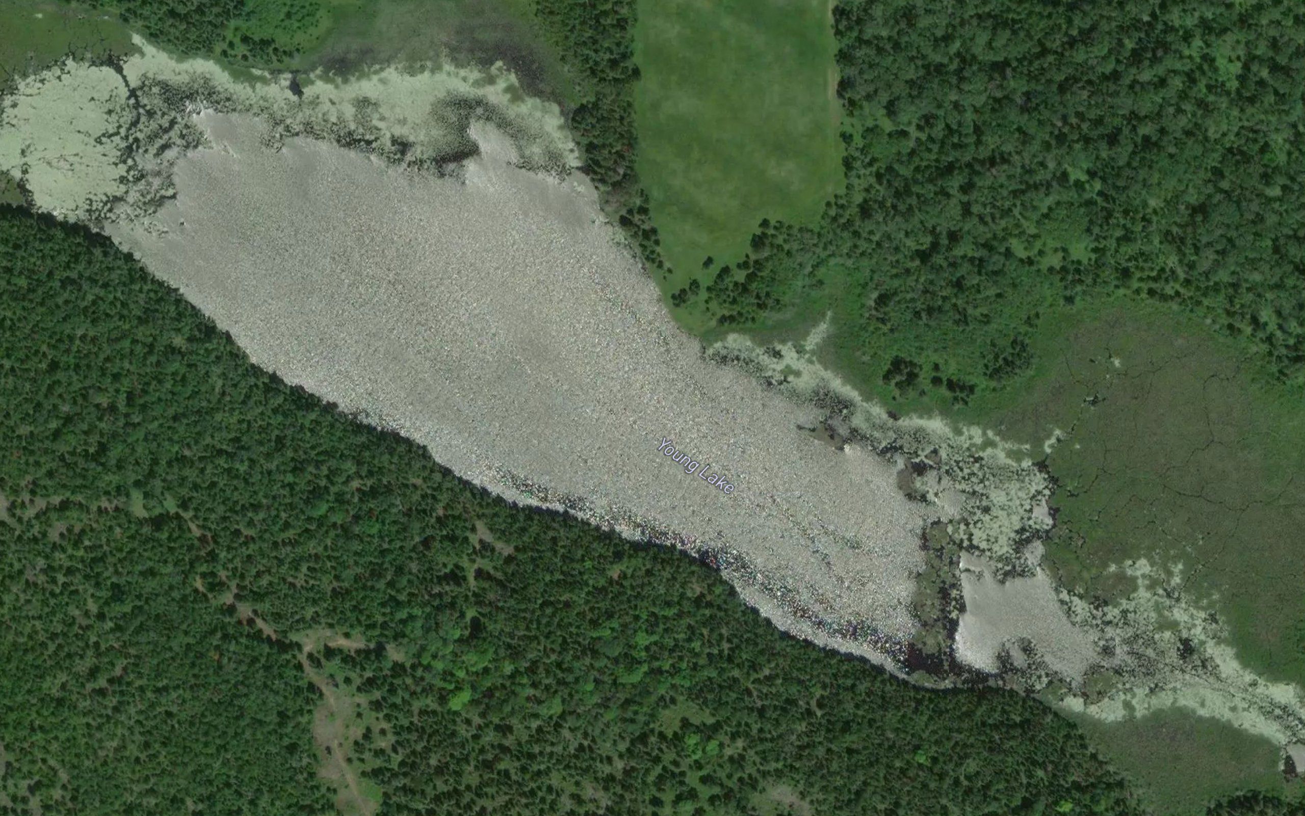 Young Lake