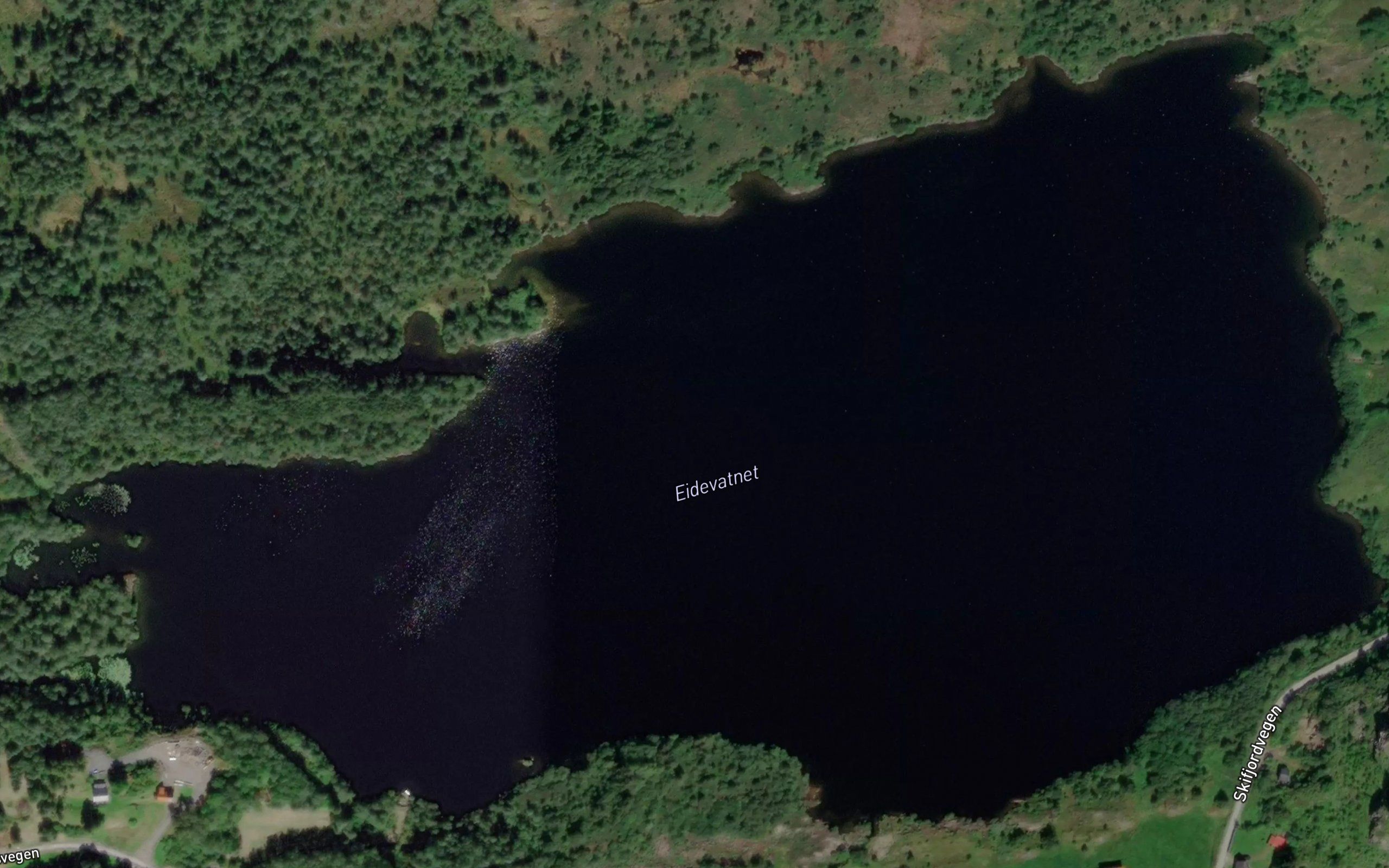 Eidevatnet