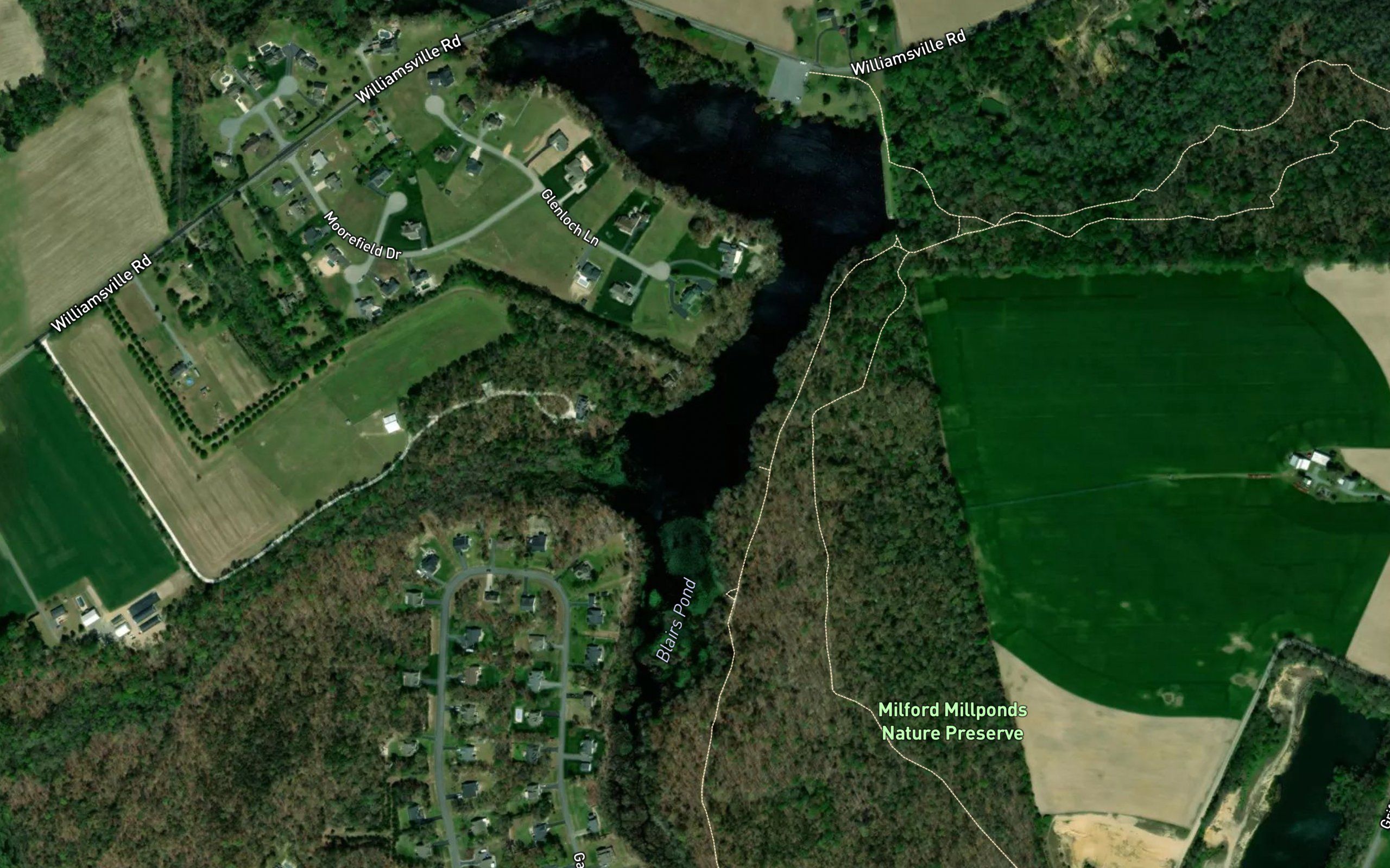 Blairs Pond