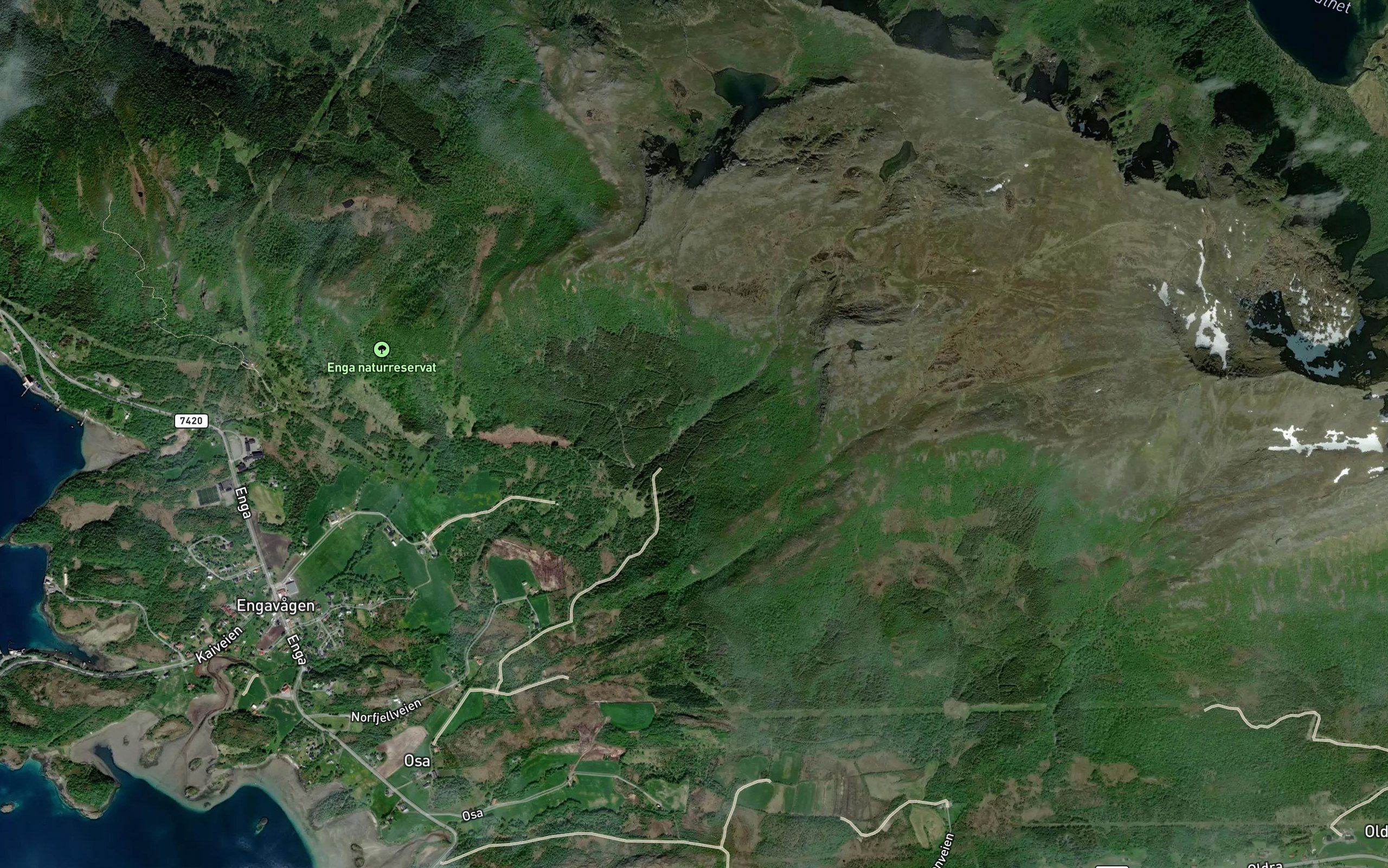 Storelva