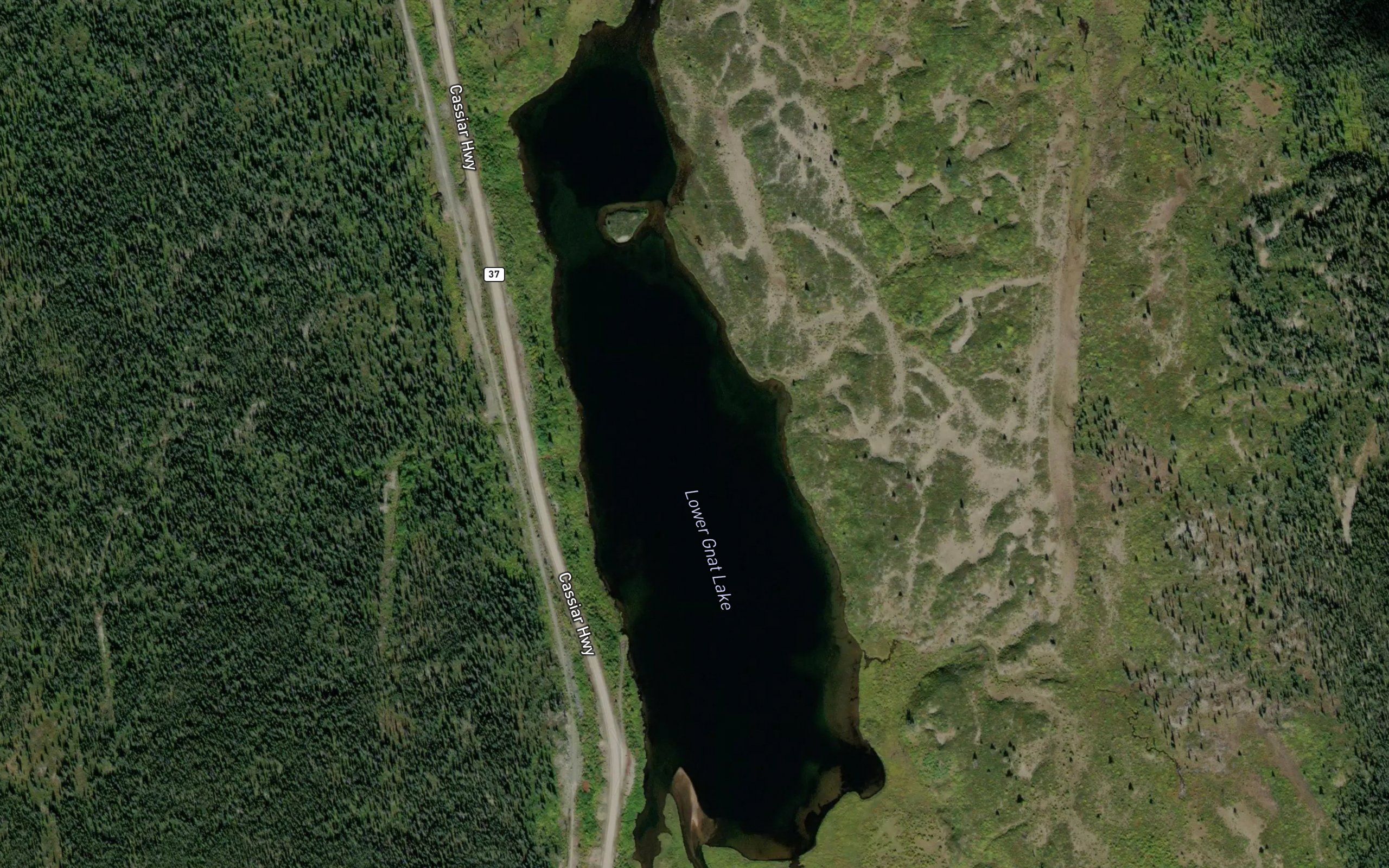 Lower Gnat Lake