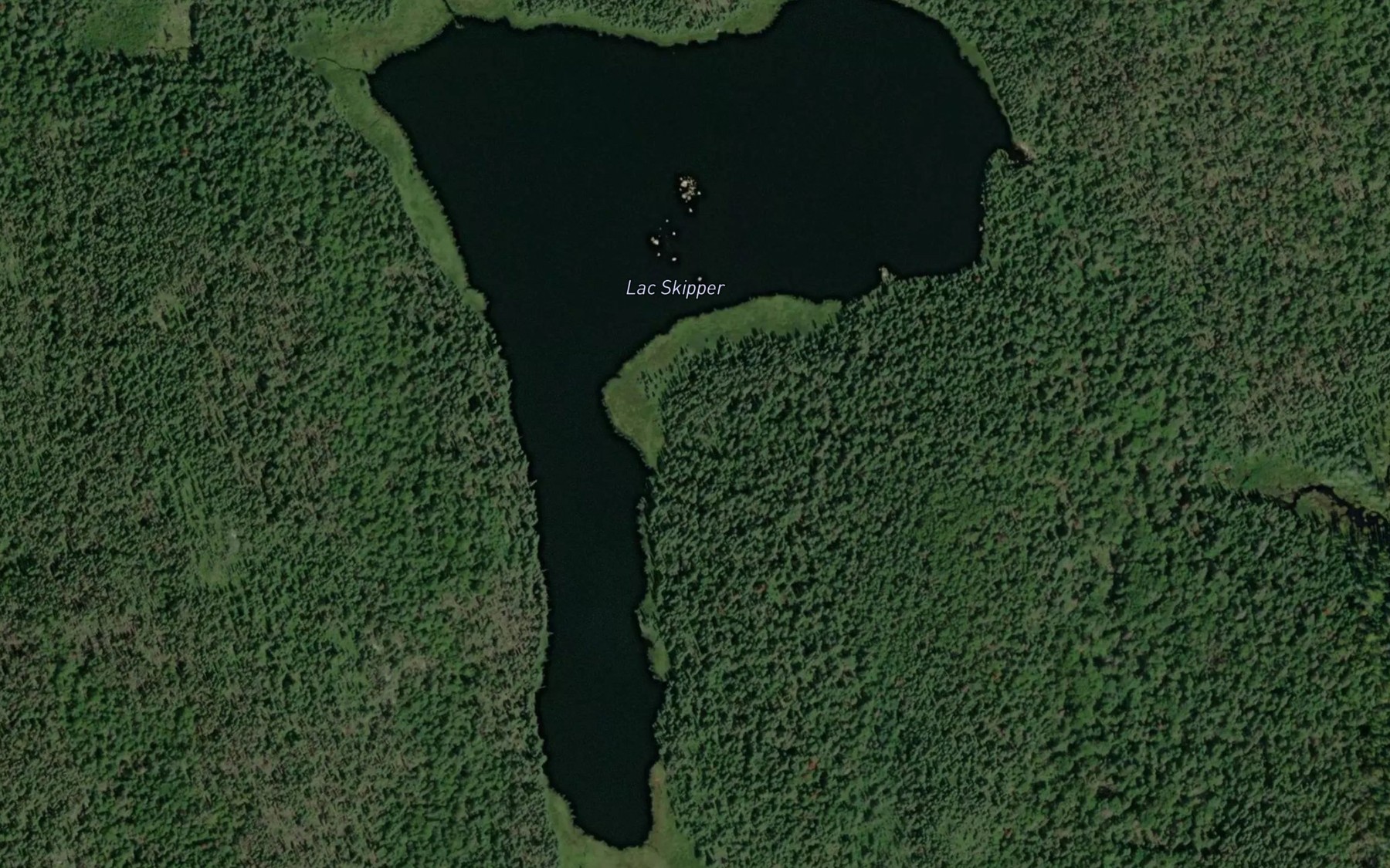 Satellite map of the Lac Skipper