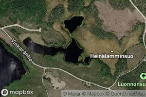 Heinalammit