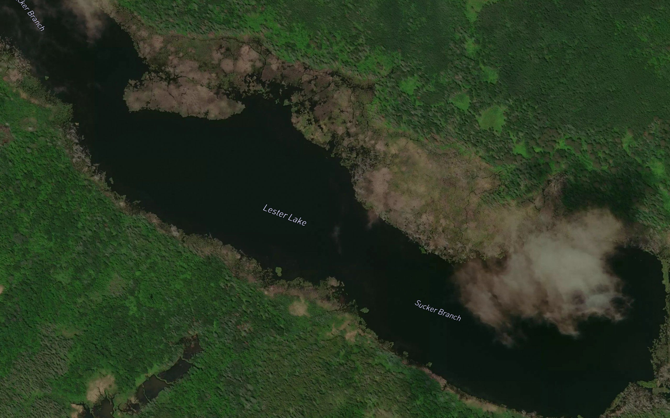 Lester Lake