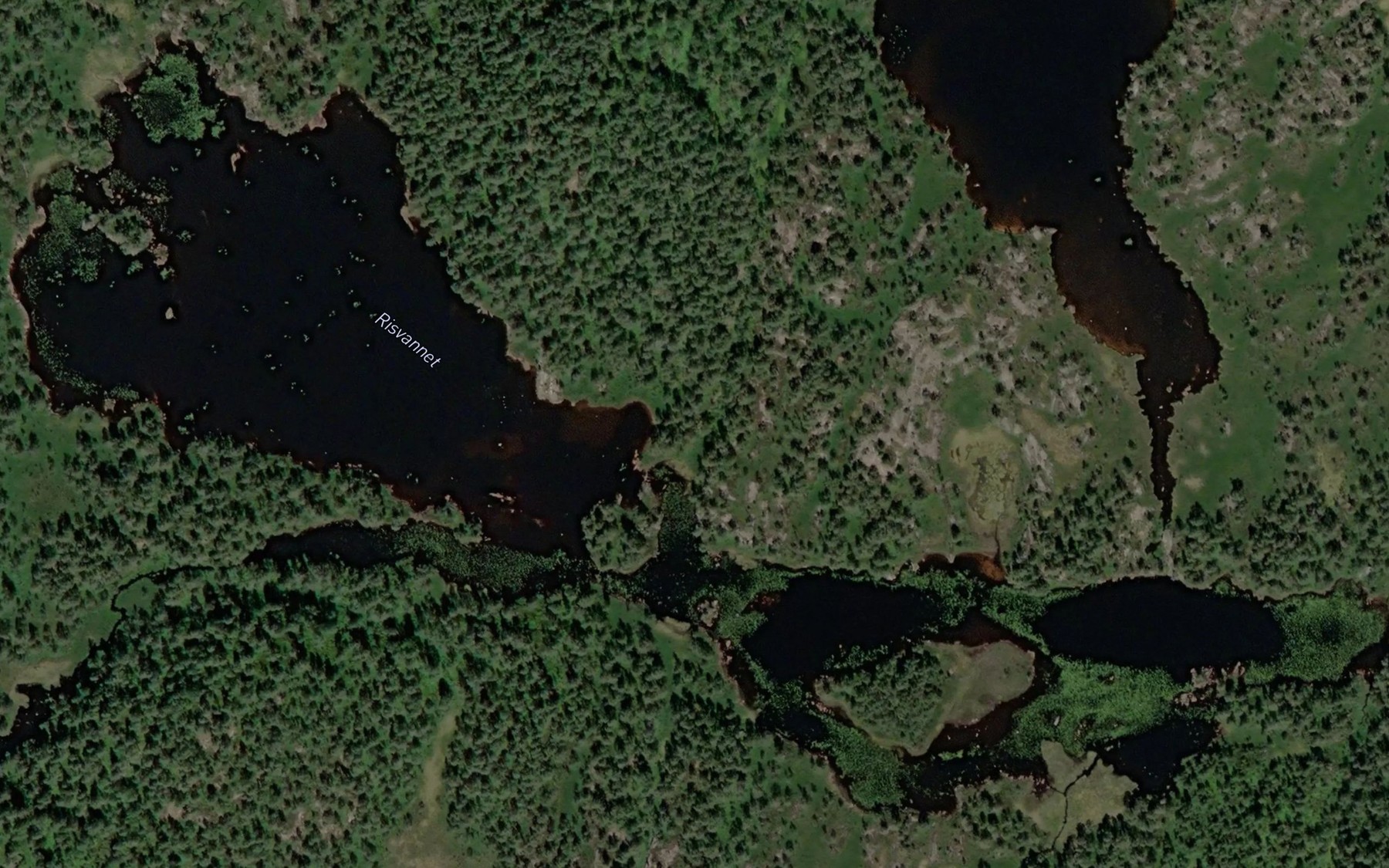 Satellite map of the Risvatnet