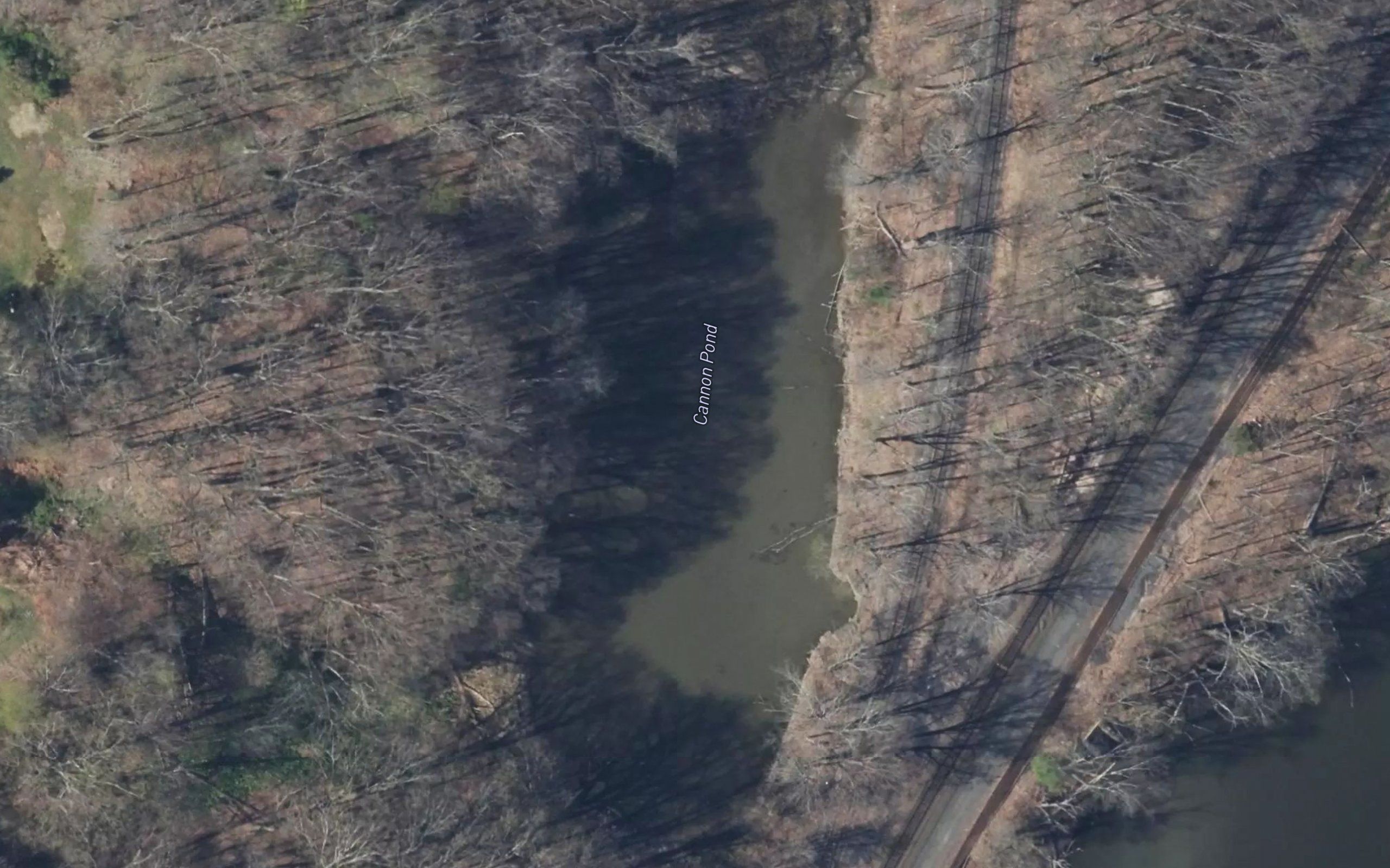 Cannon Pond