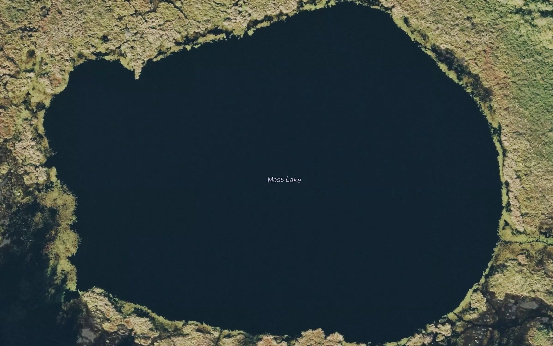 Satellite map of the Moss Lake